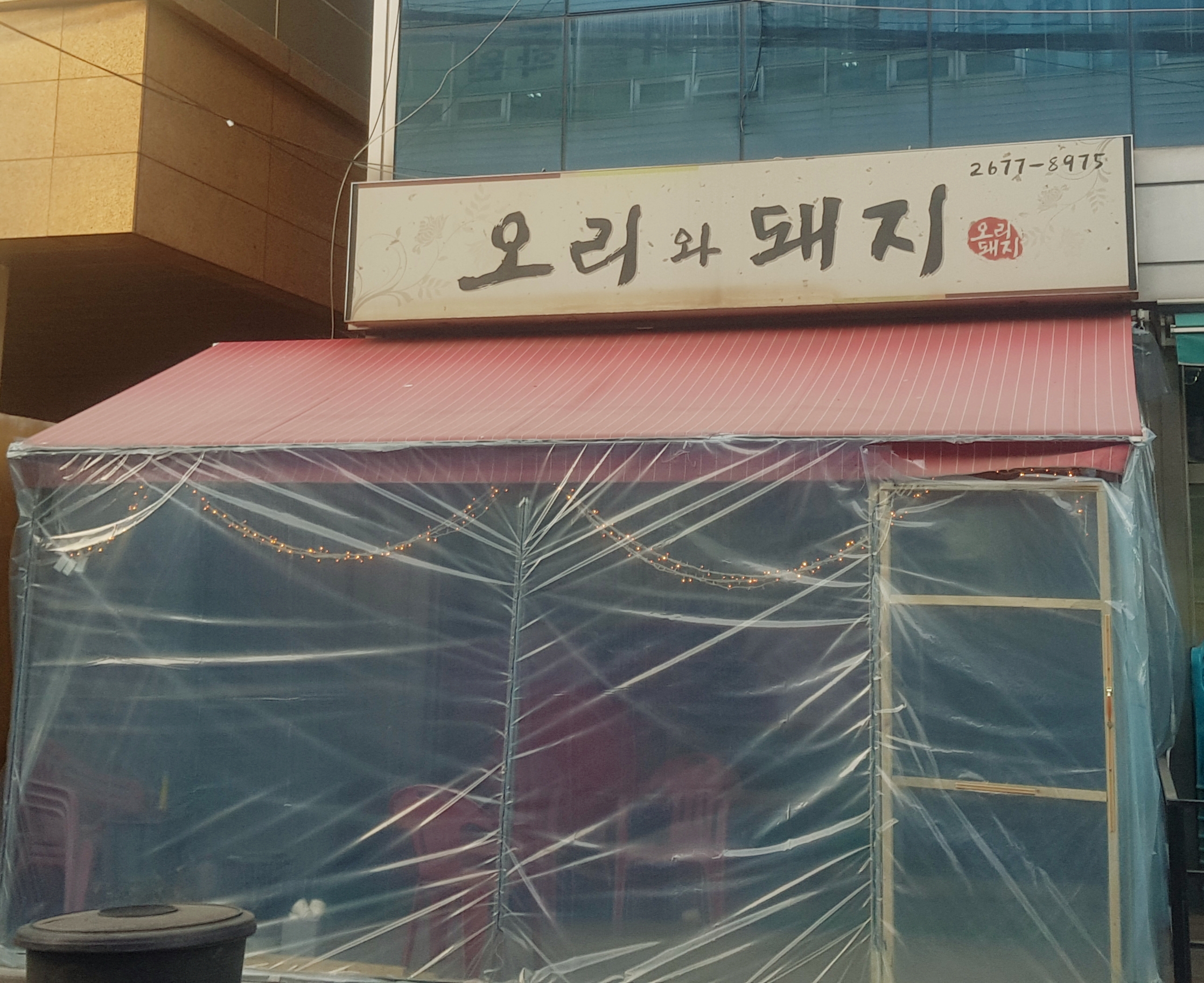 오리와돼지