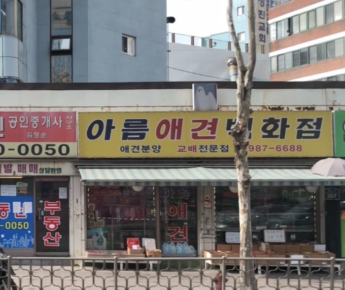 아름애견백화점
