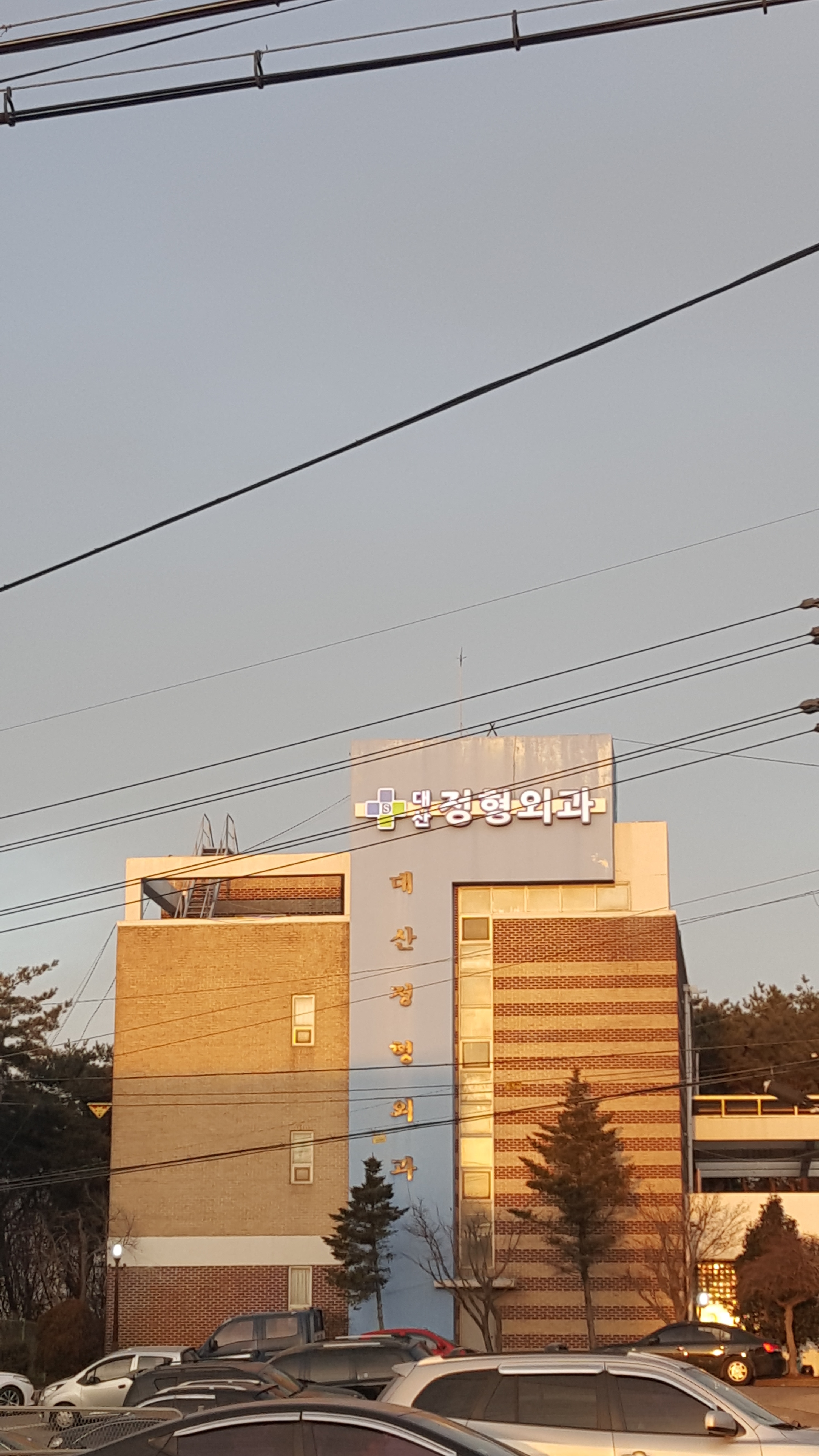대산정형외과의원