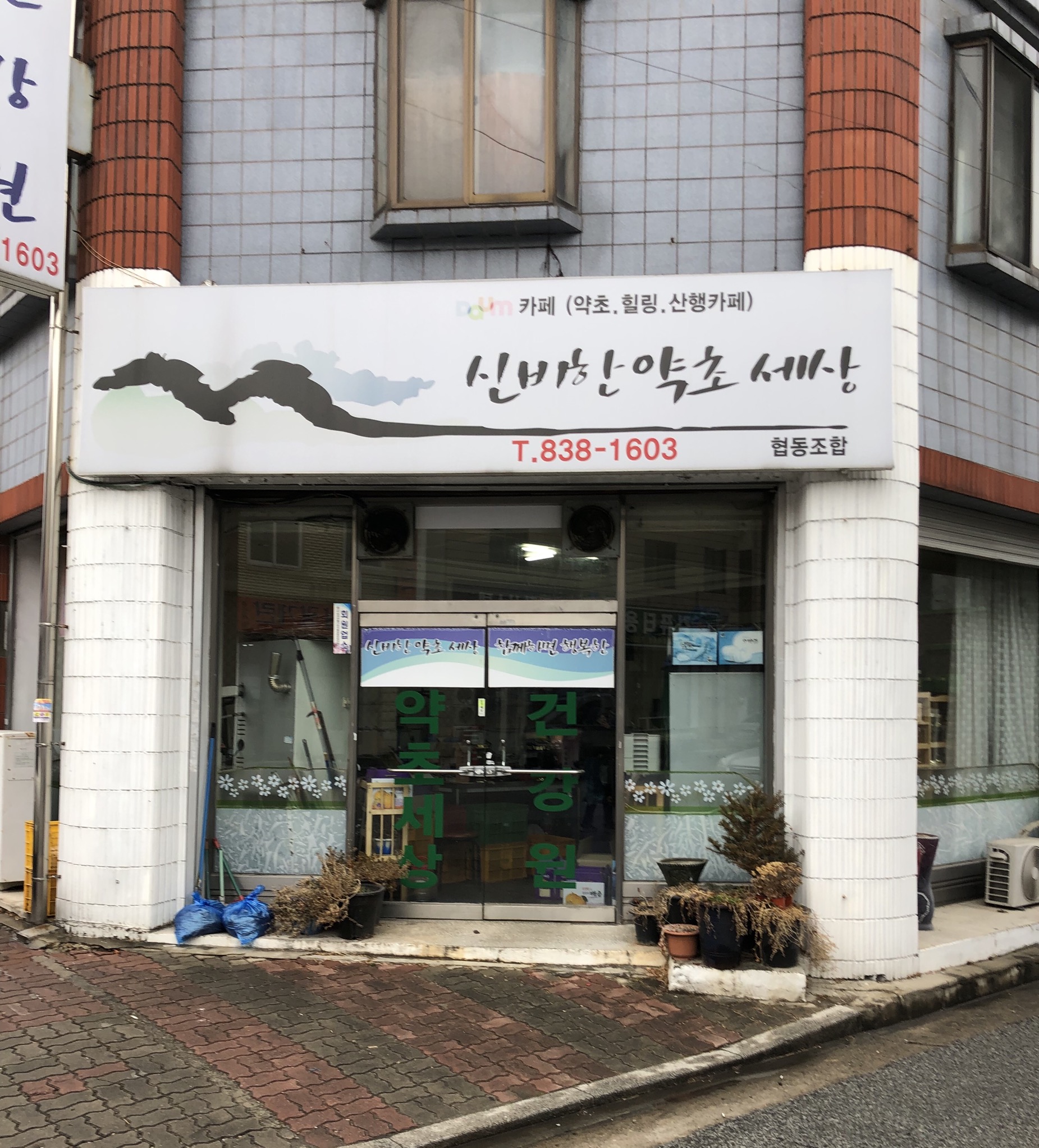 신비한약초세상