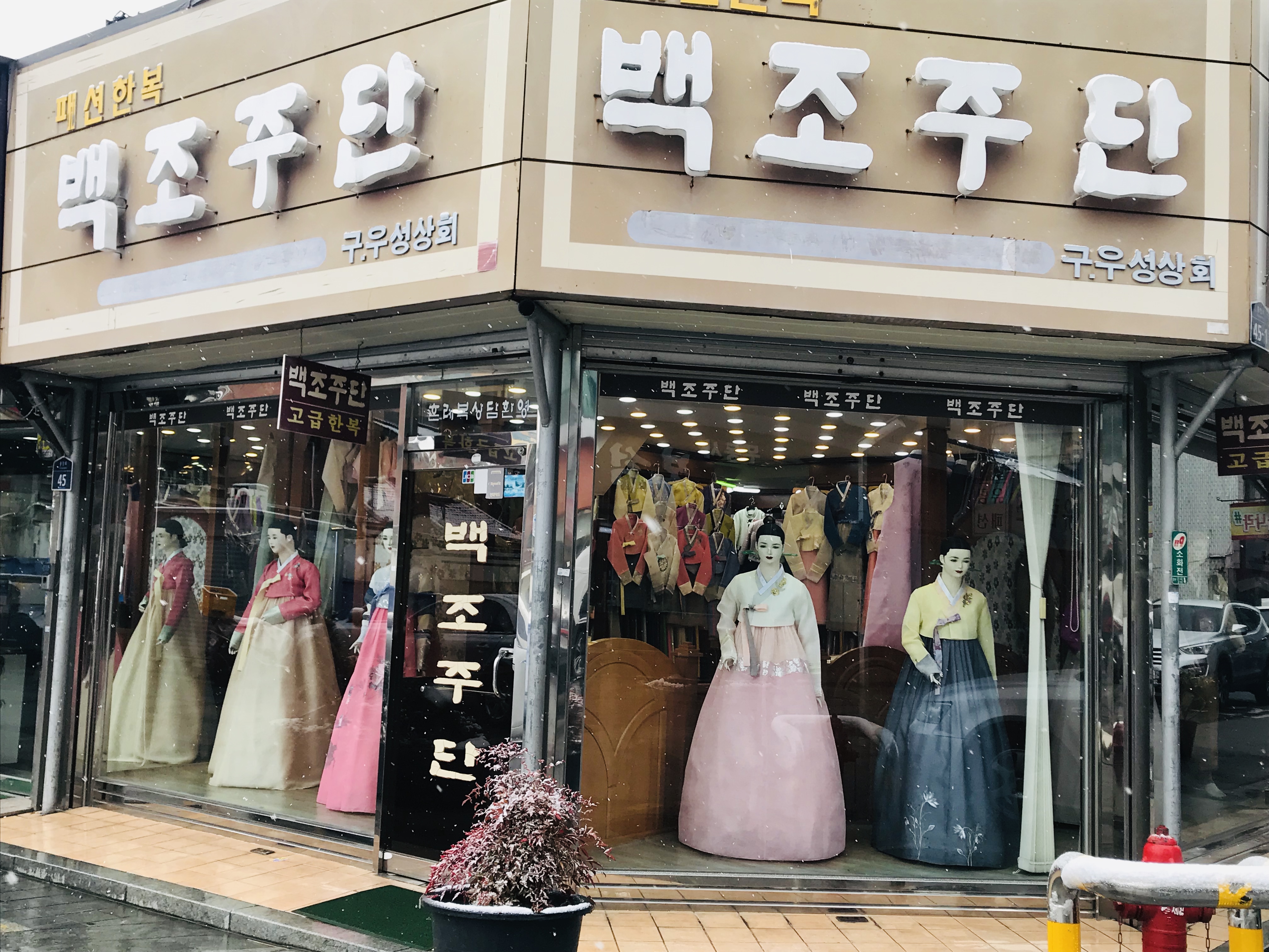 백조주단