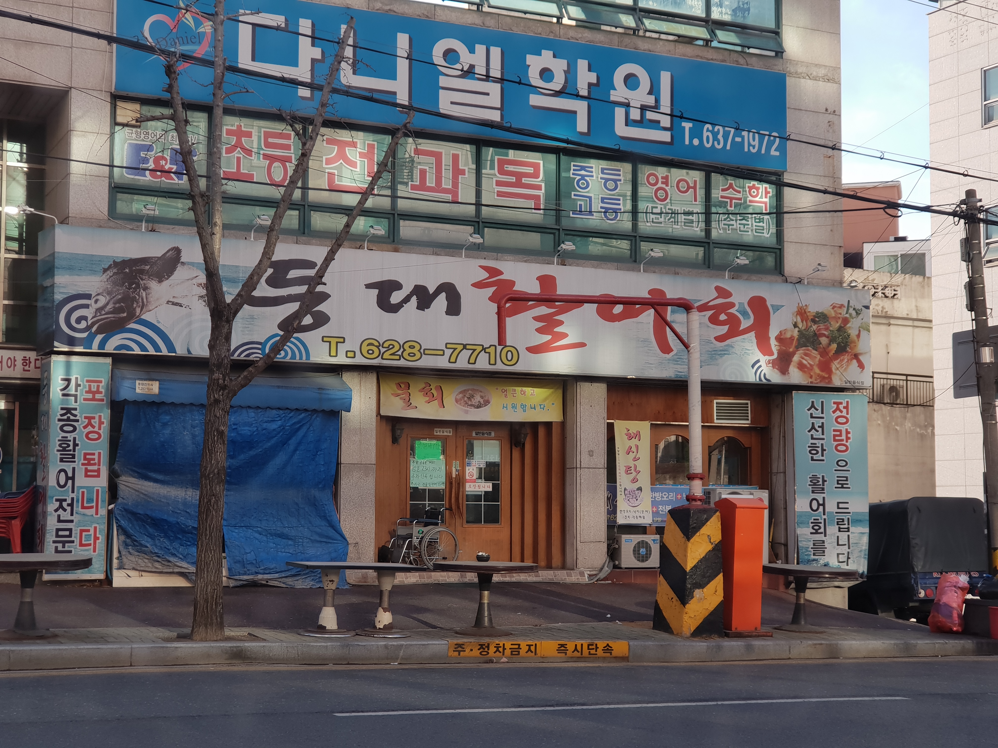 등대활어회