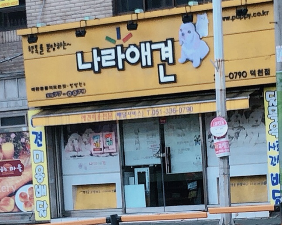 애견용품전문업체 추천 부산 북구 지역 우수업체 강아지용품 애완용품 애견용품점 반려동물용품점 나라애견덕천점