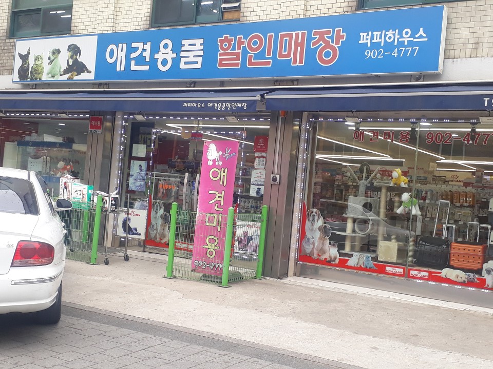 퍼피하우스 대표 이미지