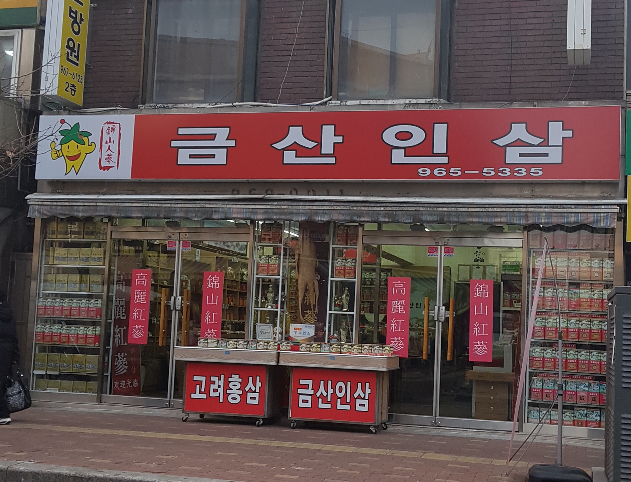 금산인삼