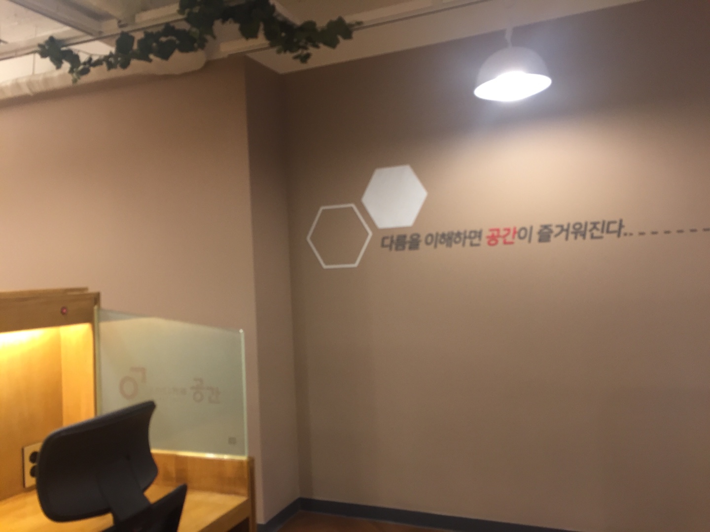 업체사진