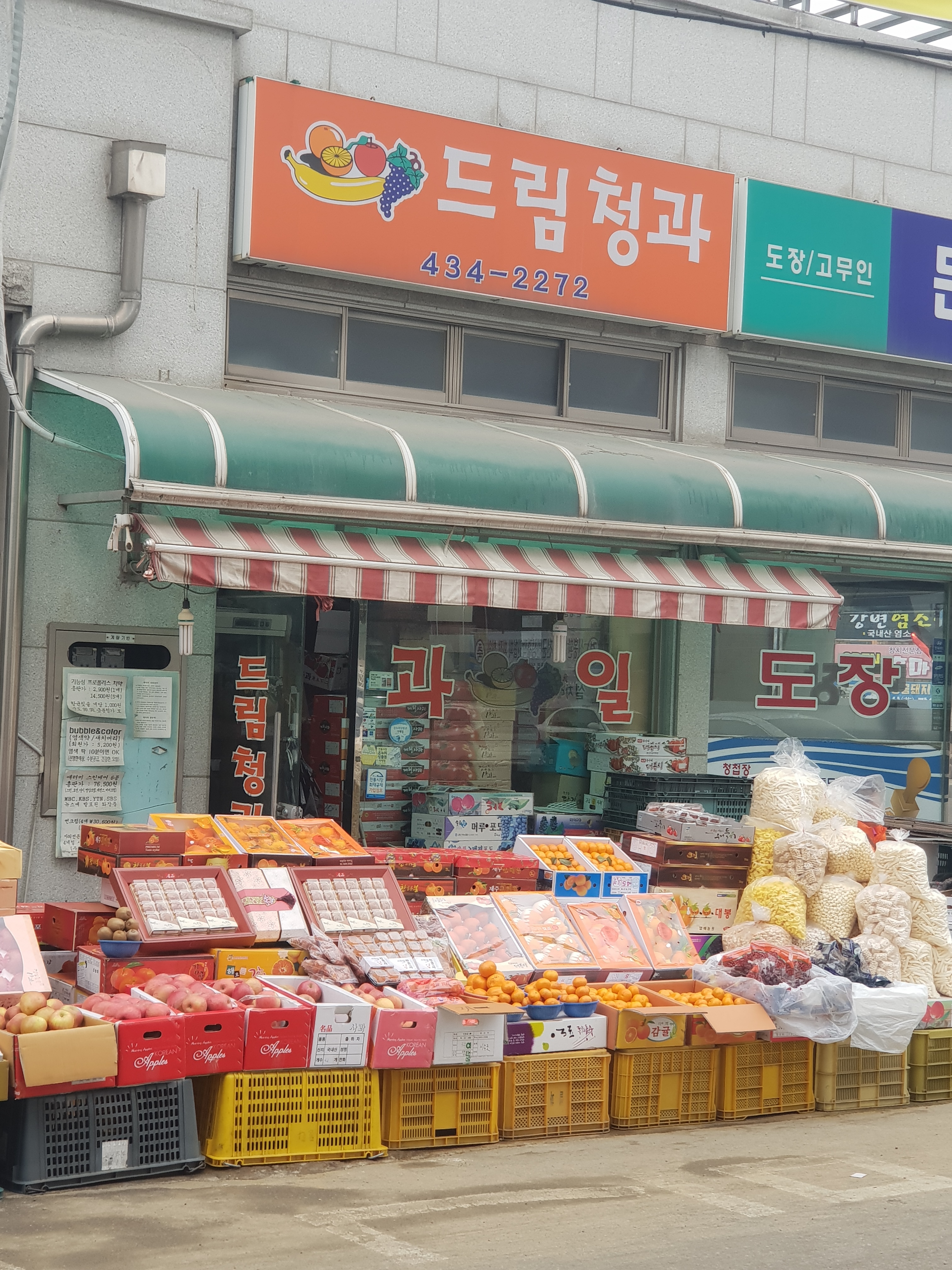 드림청과