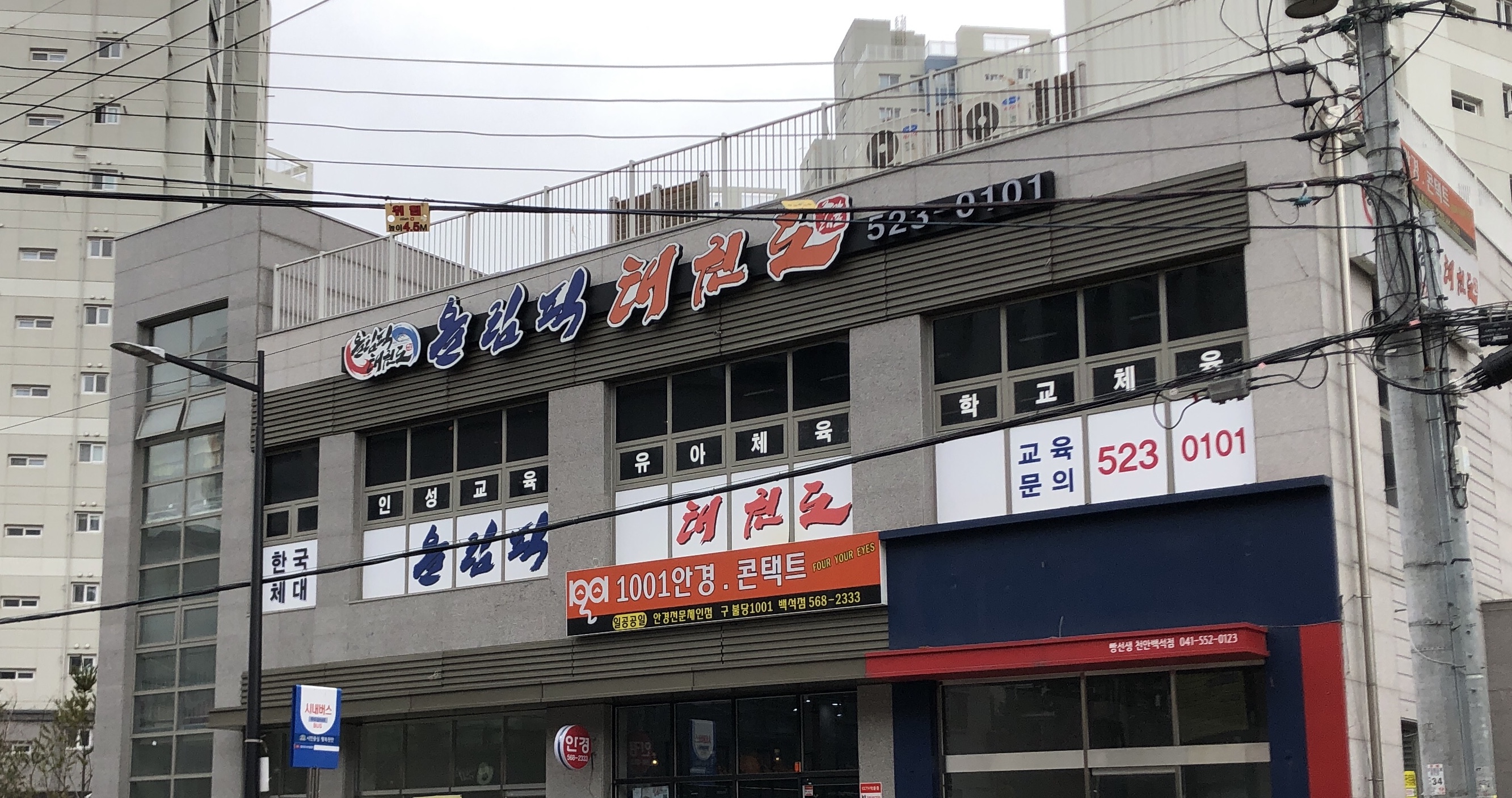 올림픽 태권도