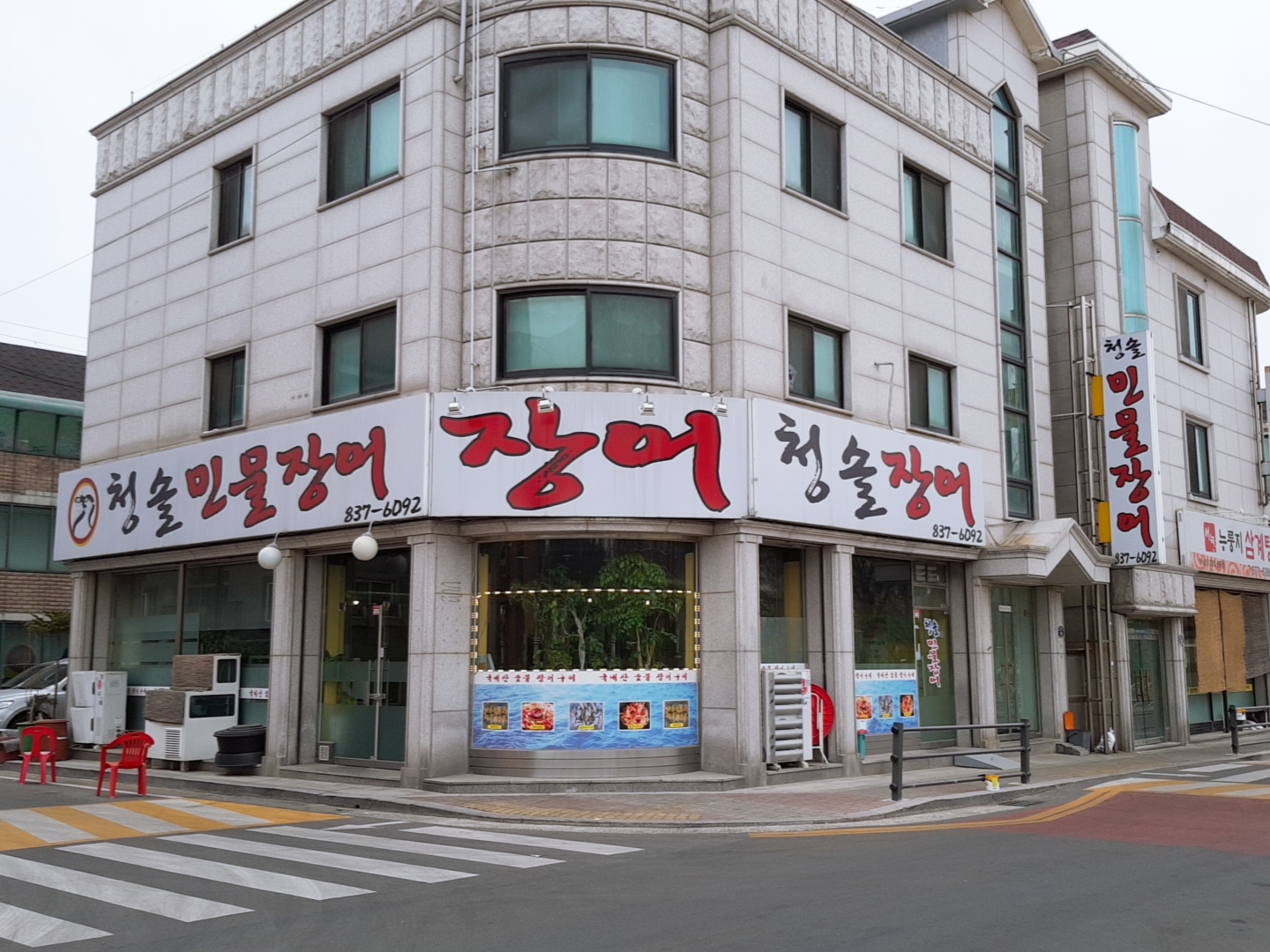 청솔장어