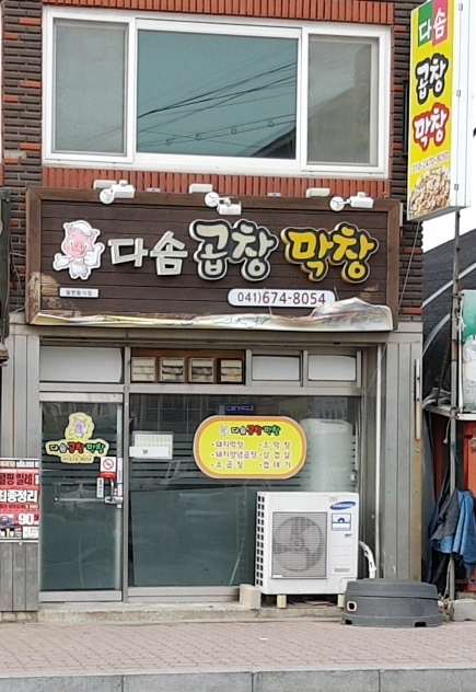다솜곱창막창