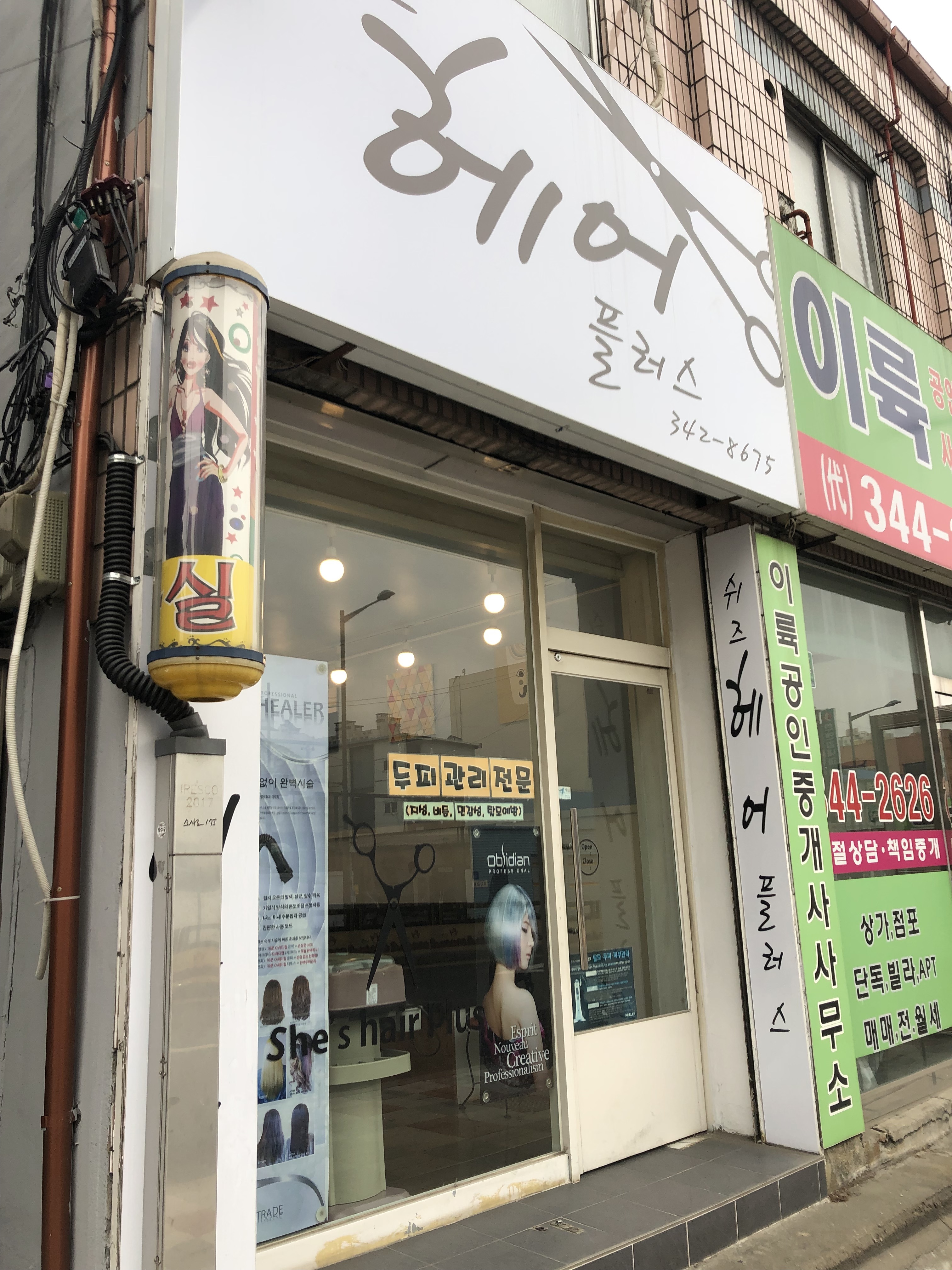 쉬즈헤어플러스
