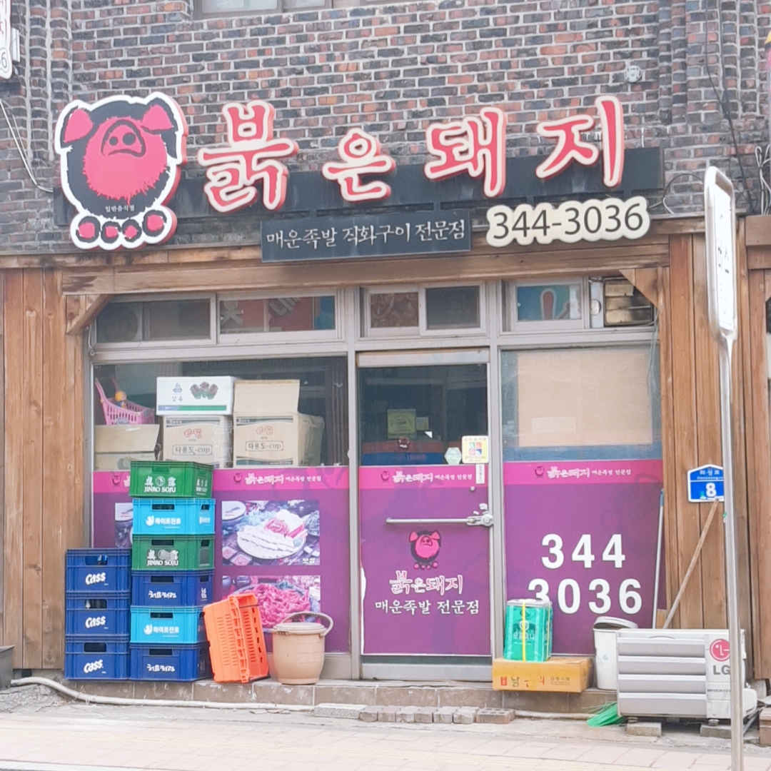 붉은돼지