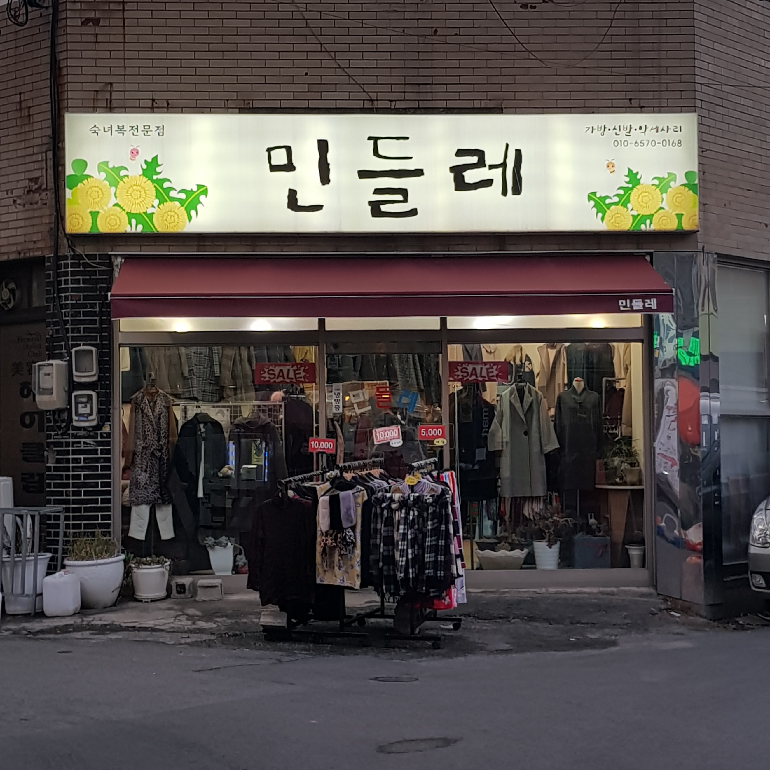 민들레