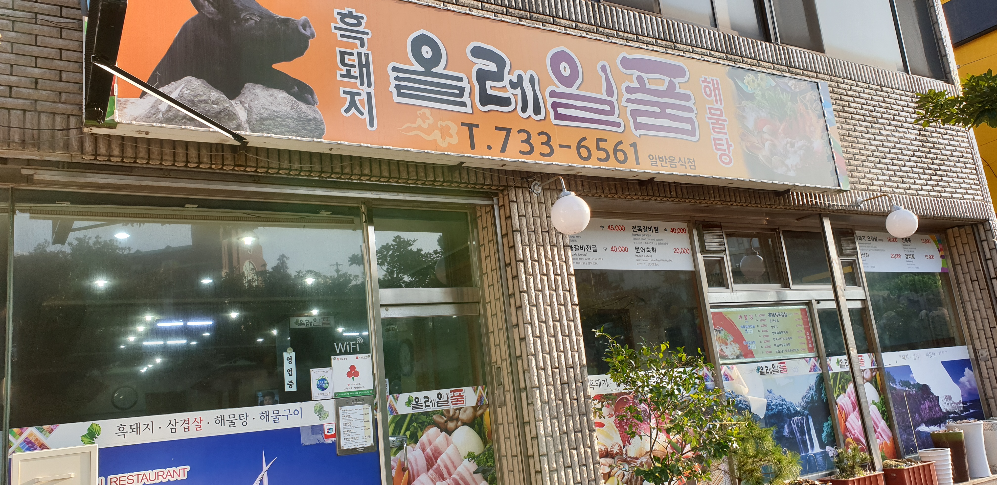 올레일품