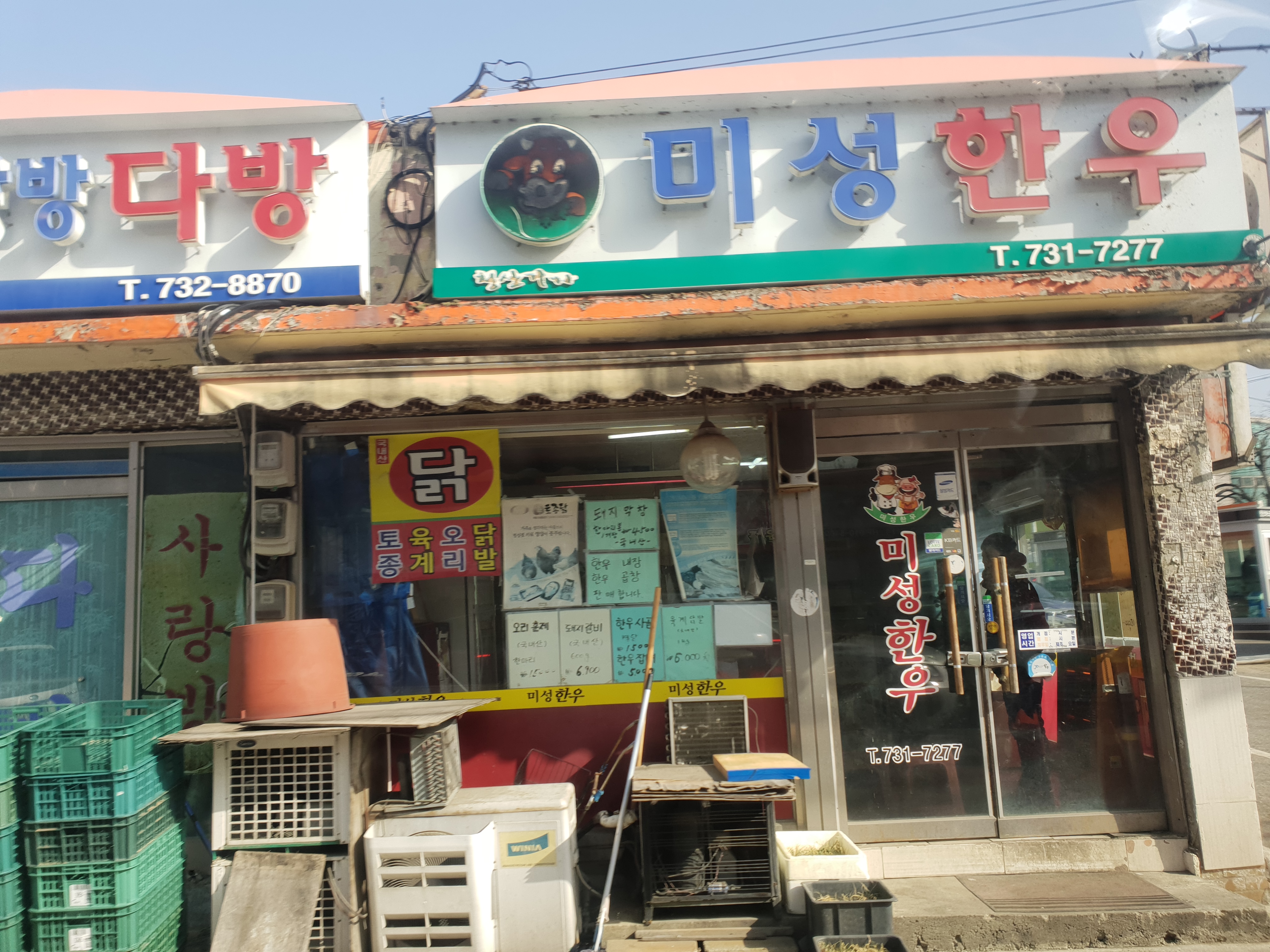 미성한우