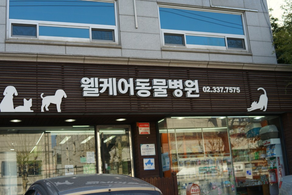 웰케어동물병원 대표 이미지