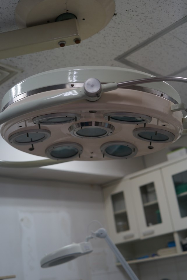 웰케어동물병원 대표 이미지