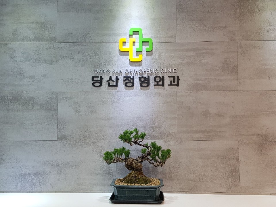 당산정형외과의원