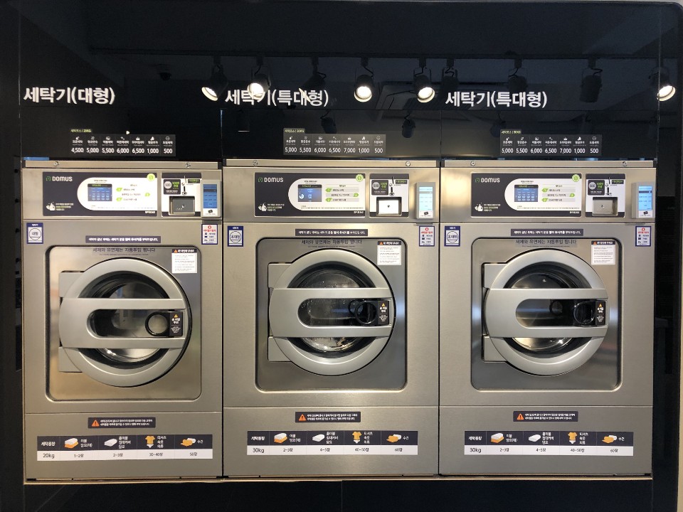 화이트365 강남점