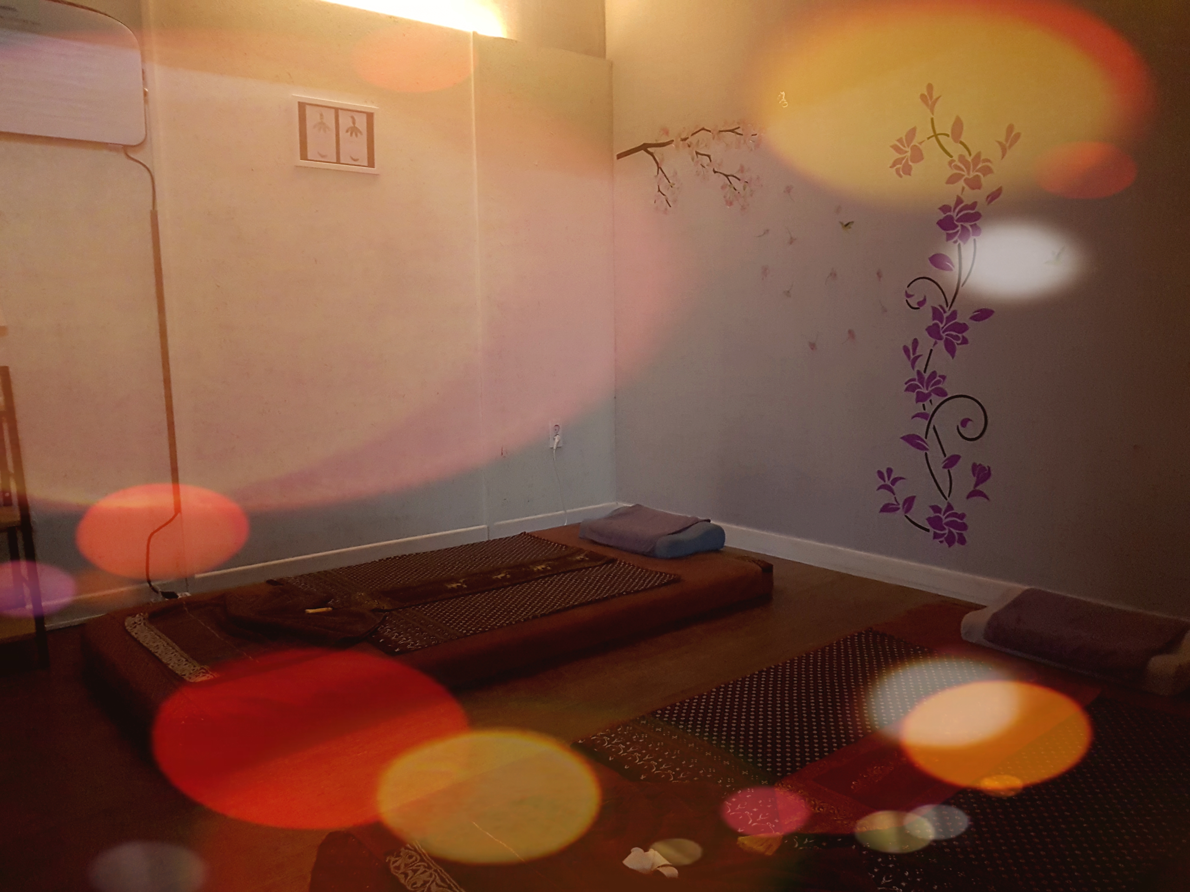 욜로테라피 photo 3