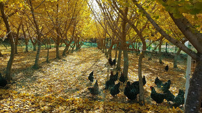 뜨란에 대표 이미지