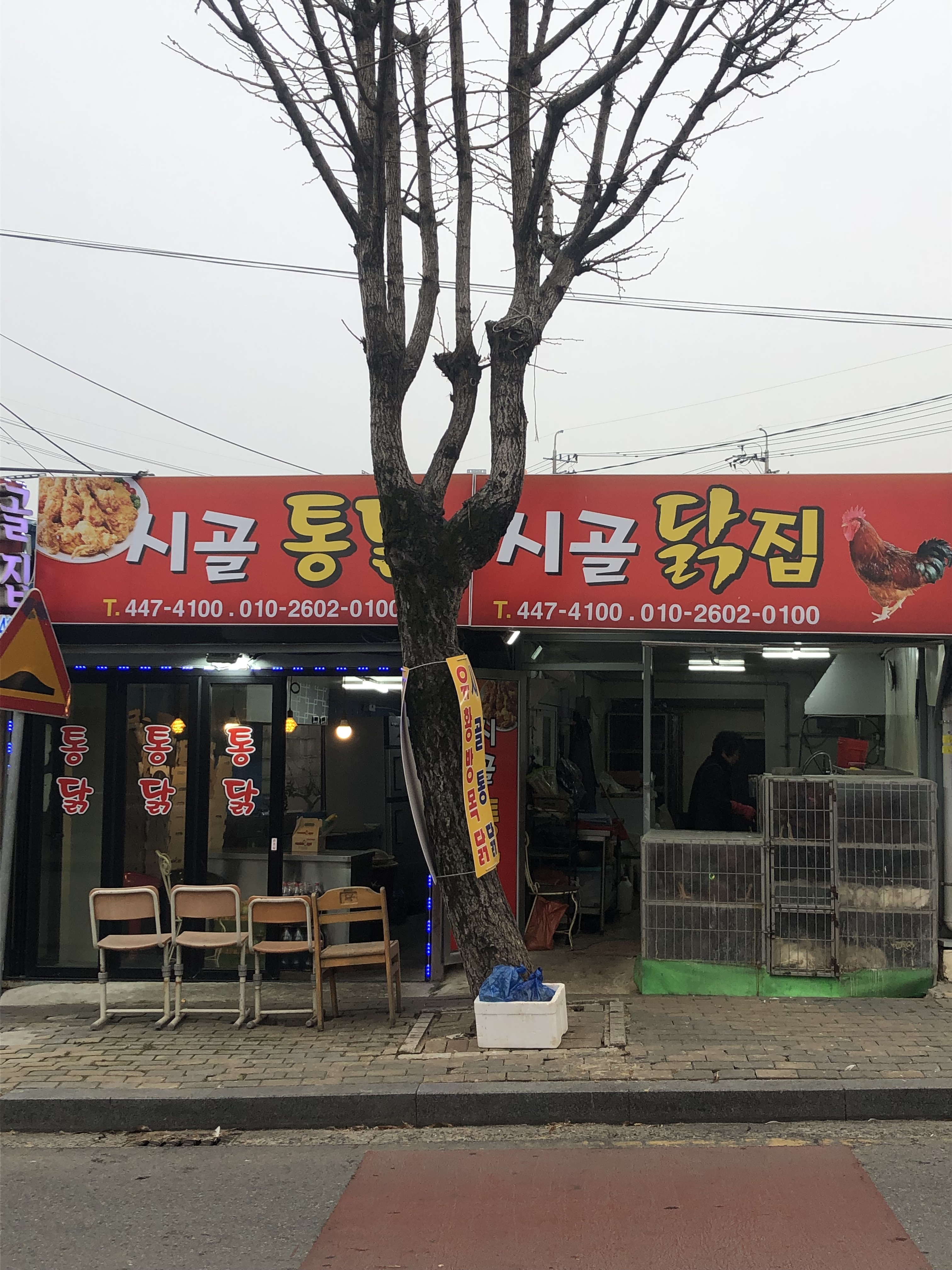 비아시골닭집통닭