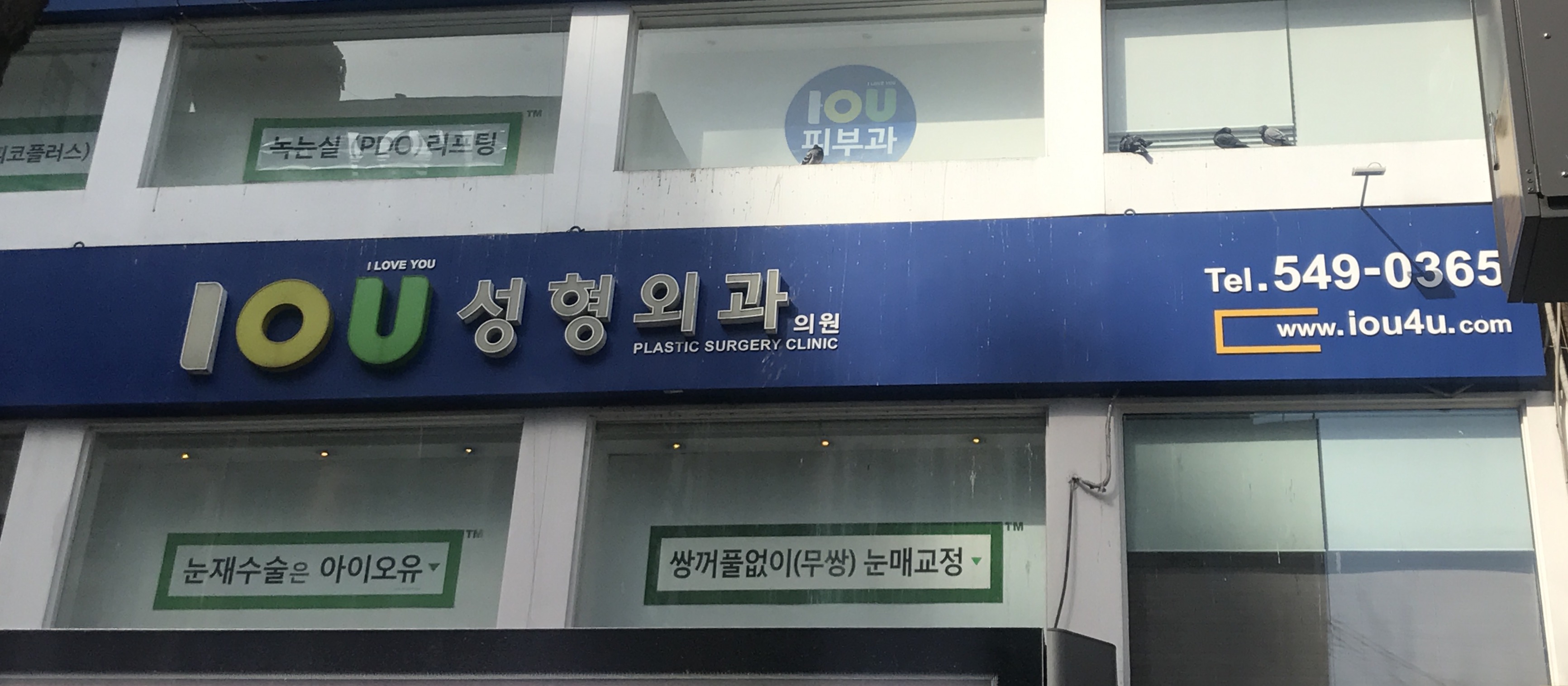 아이오유성형외과 대표 이미지