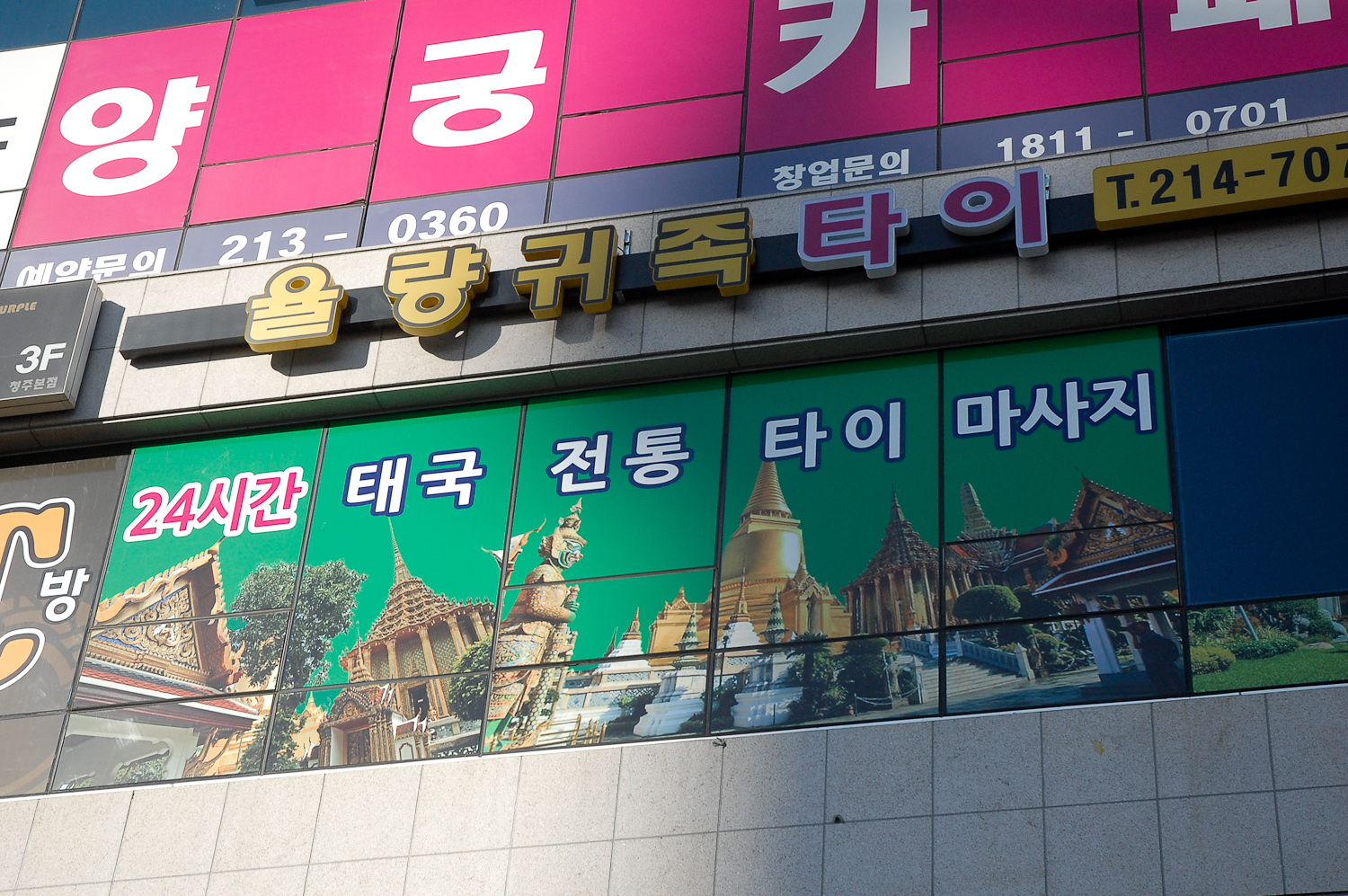 율량귀족타이