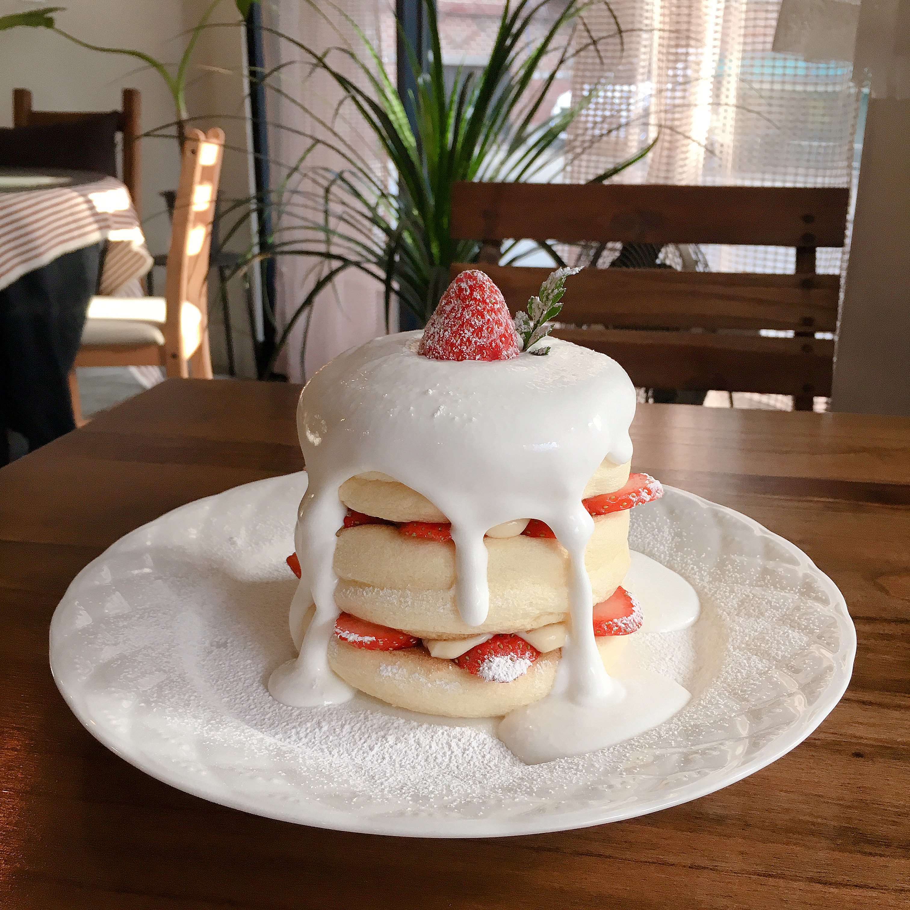 미드데이썬 서울 애견맛집