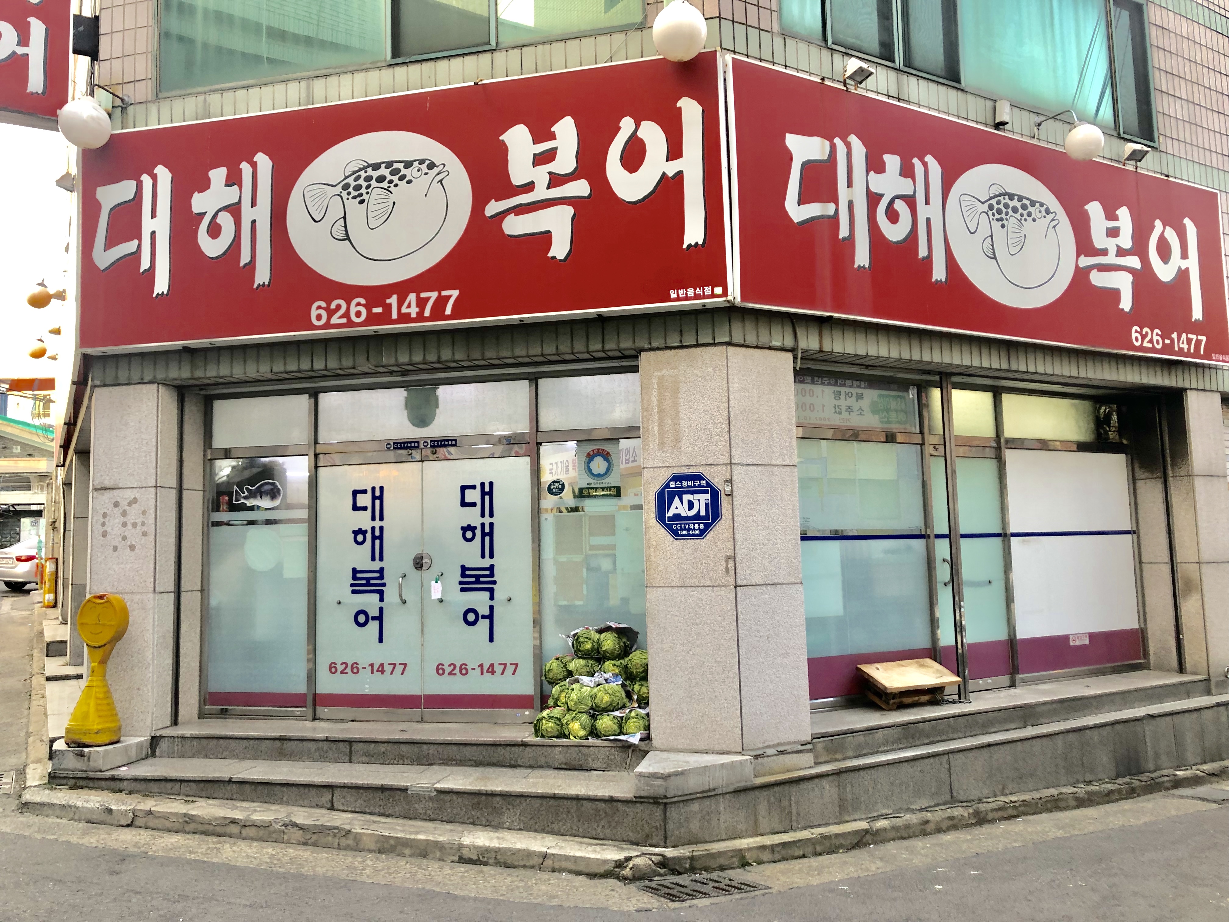 대해복어