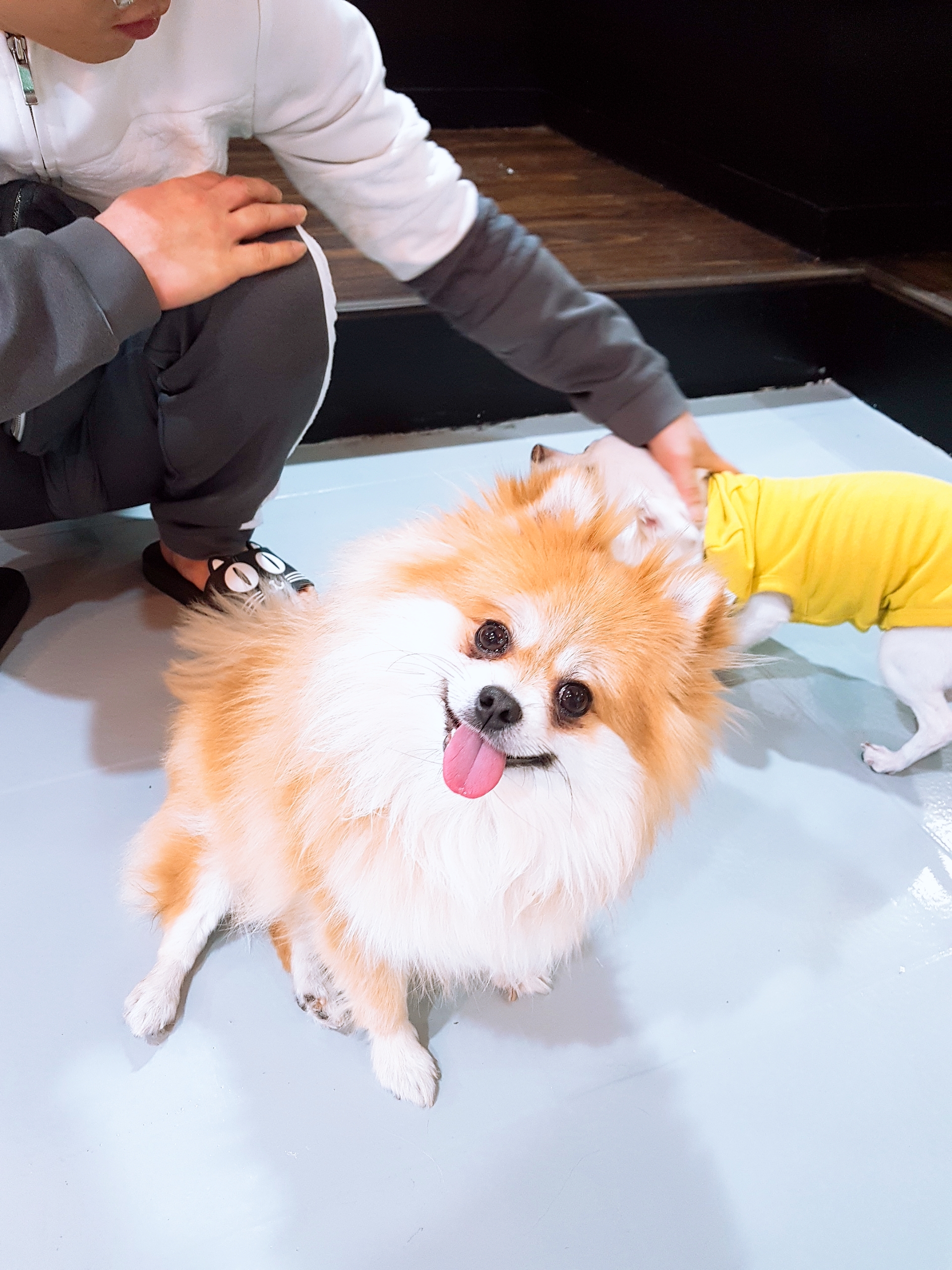 이미지
