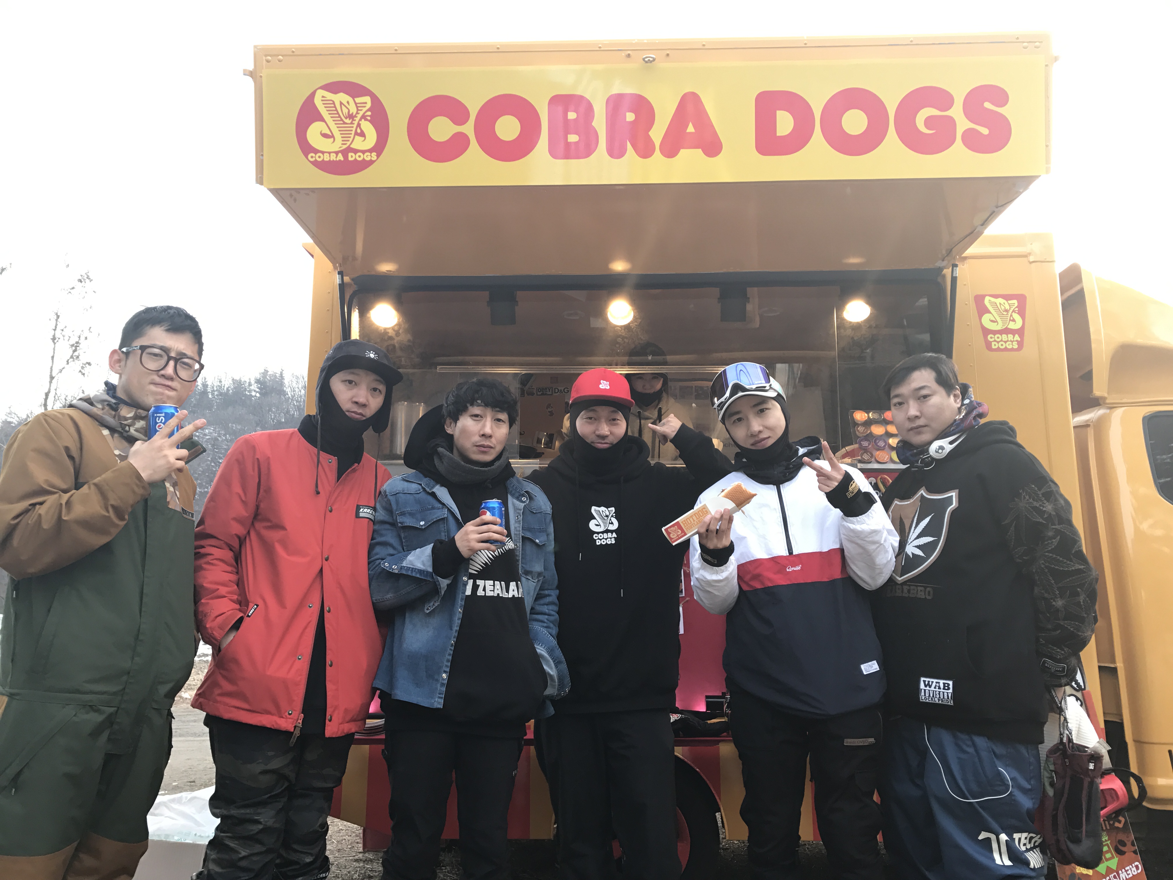 코브라독스