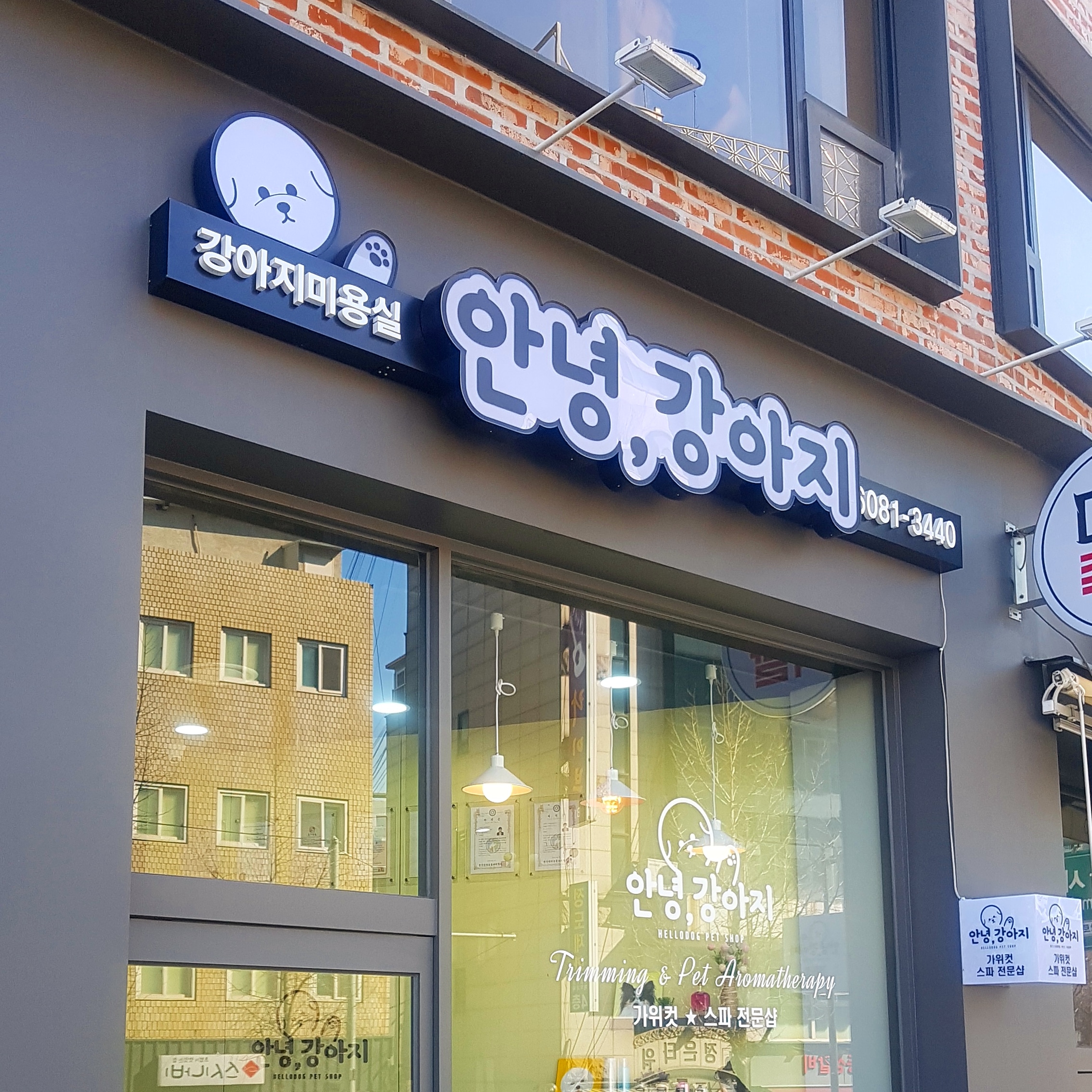 안녕강아지