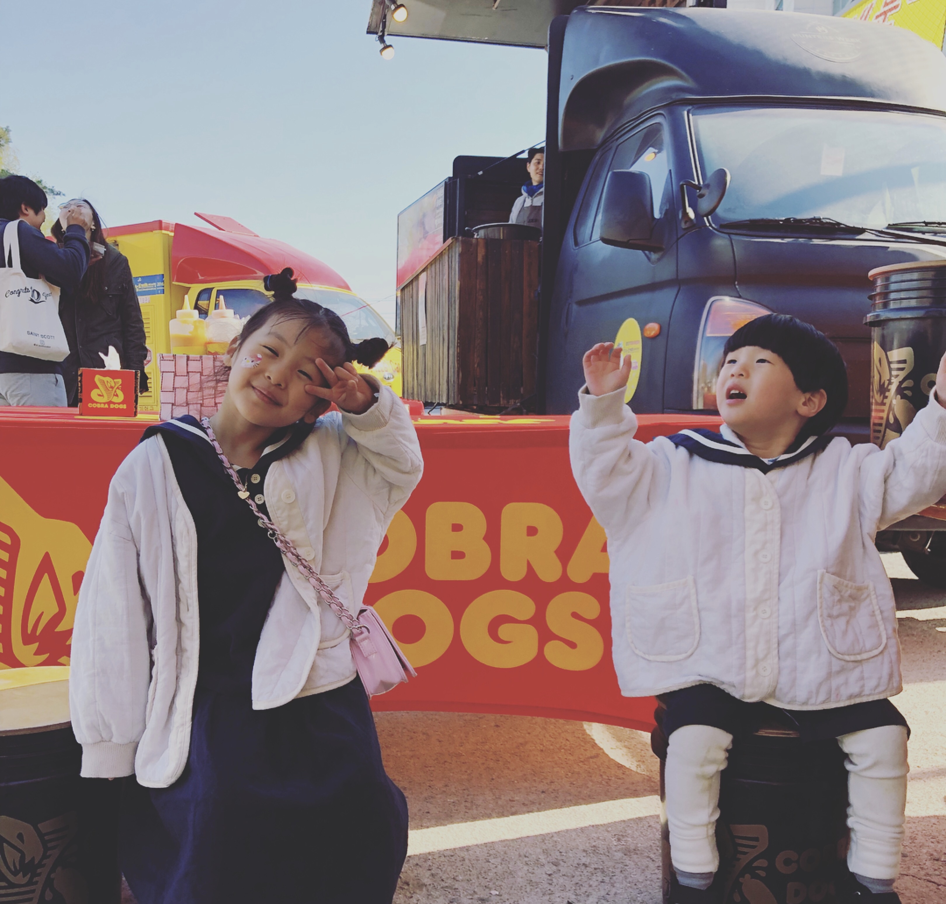 코브라독스