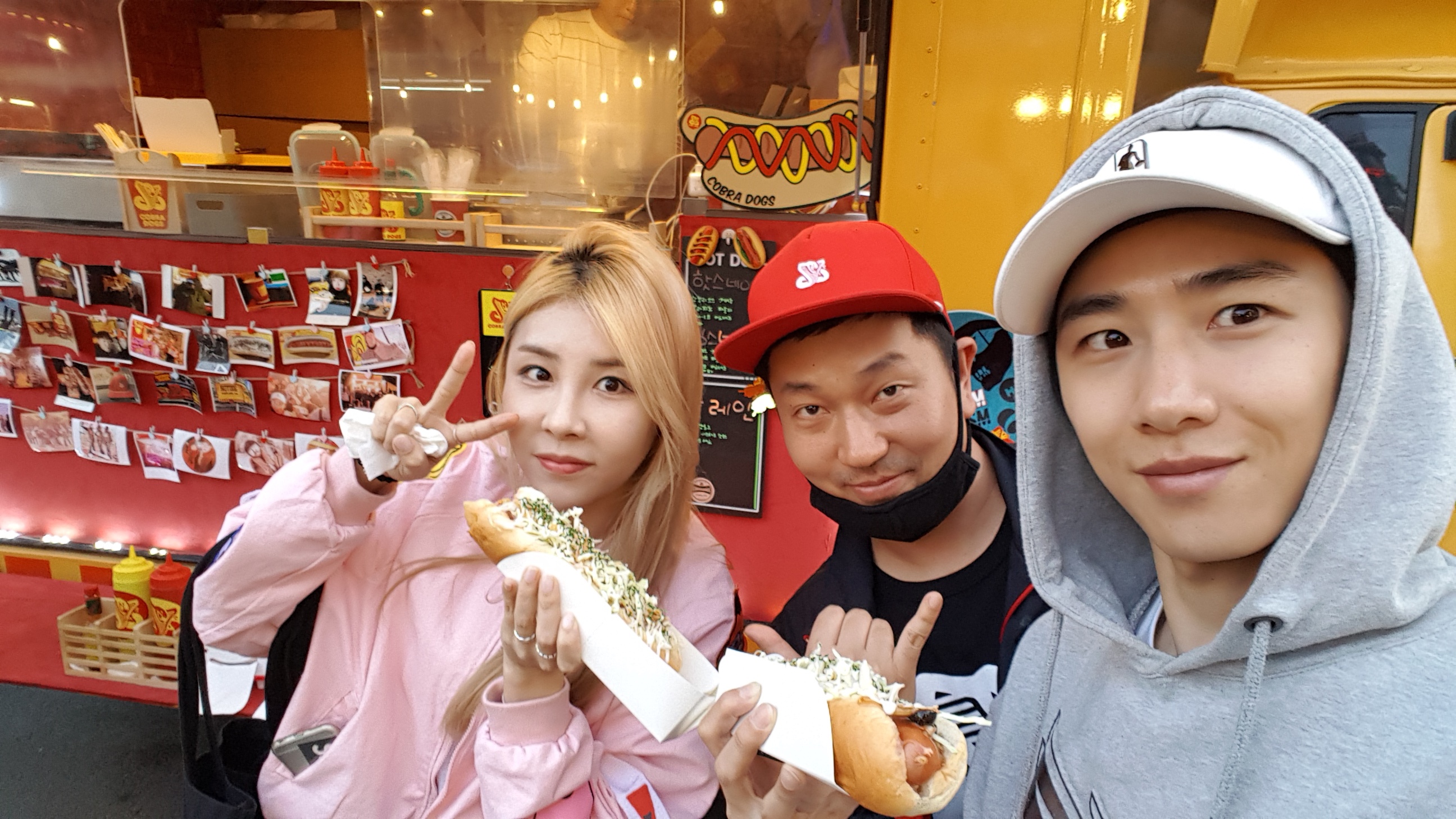 코브라독스