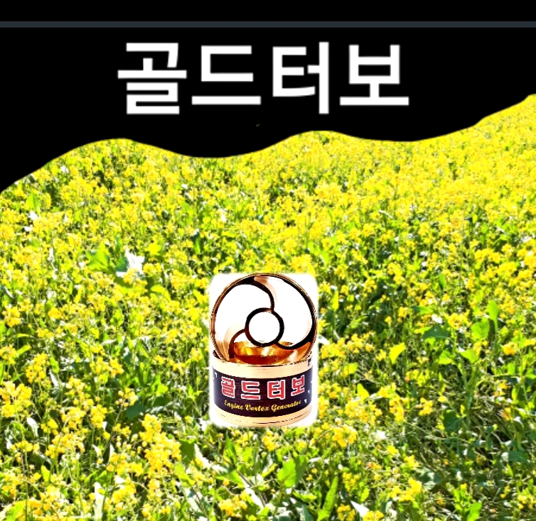 골드카서비스