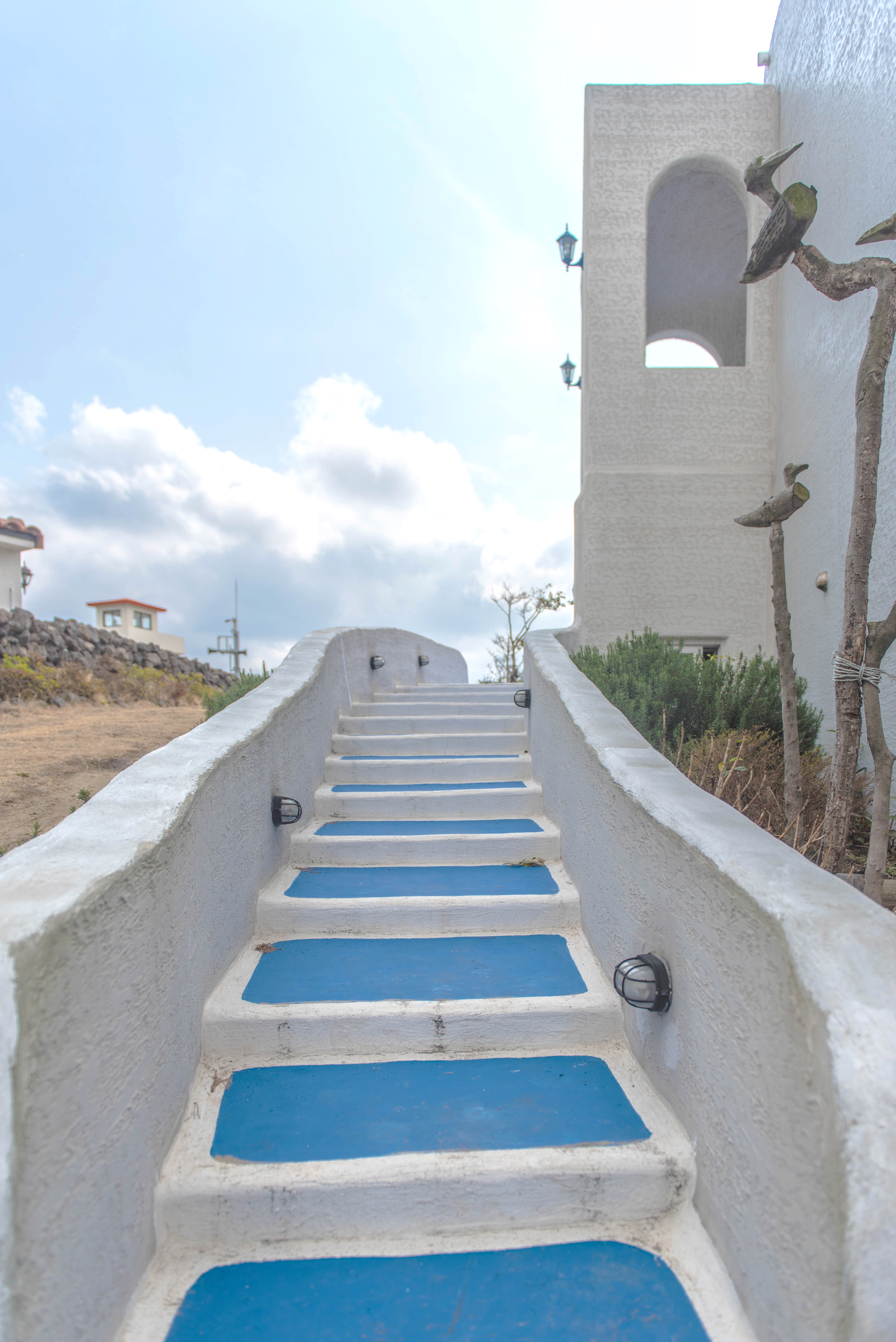 멍이냥이하우스 경상 애견카페