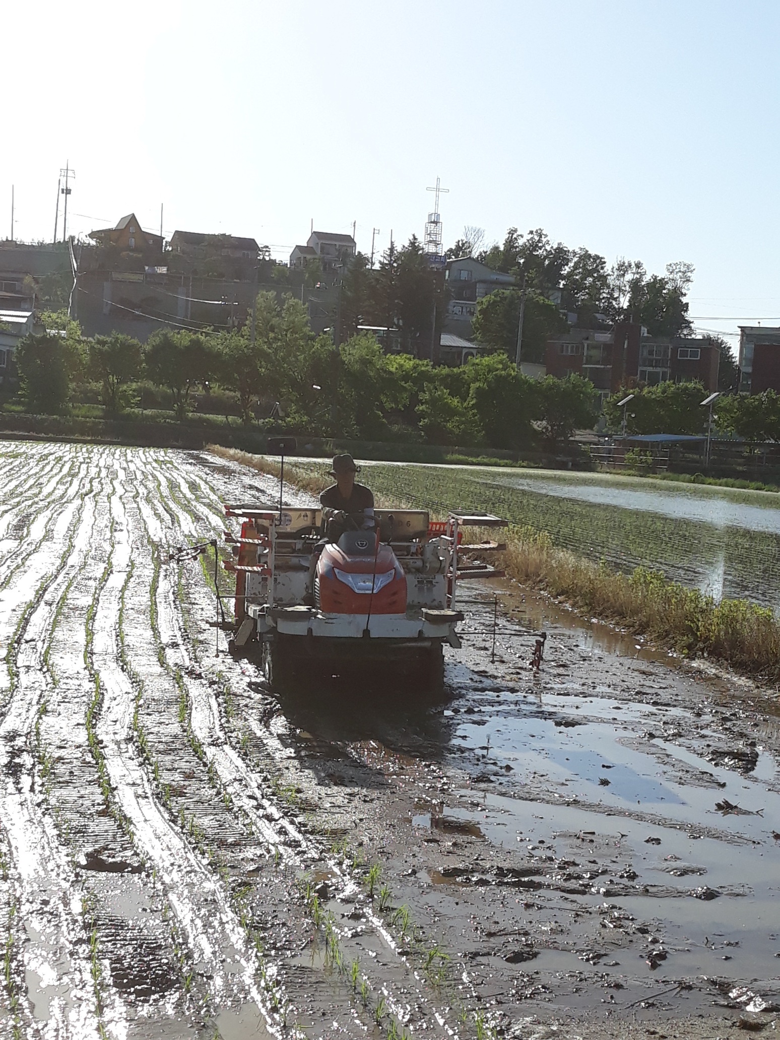 청산고개농원