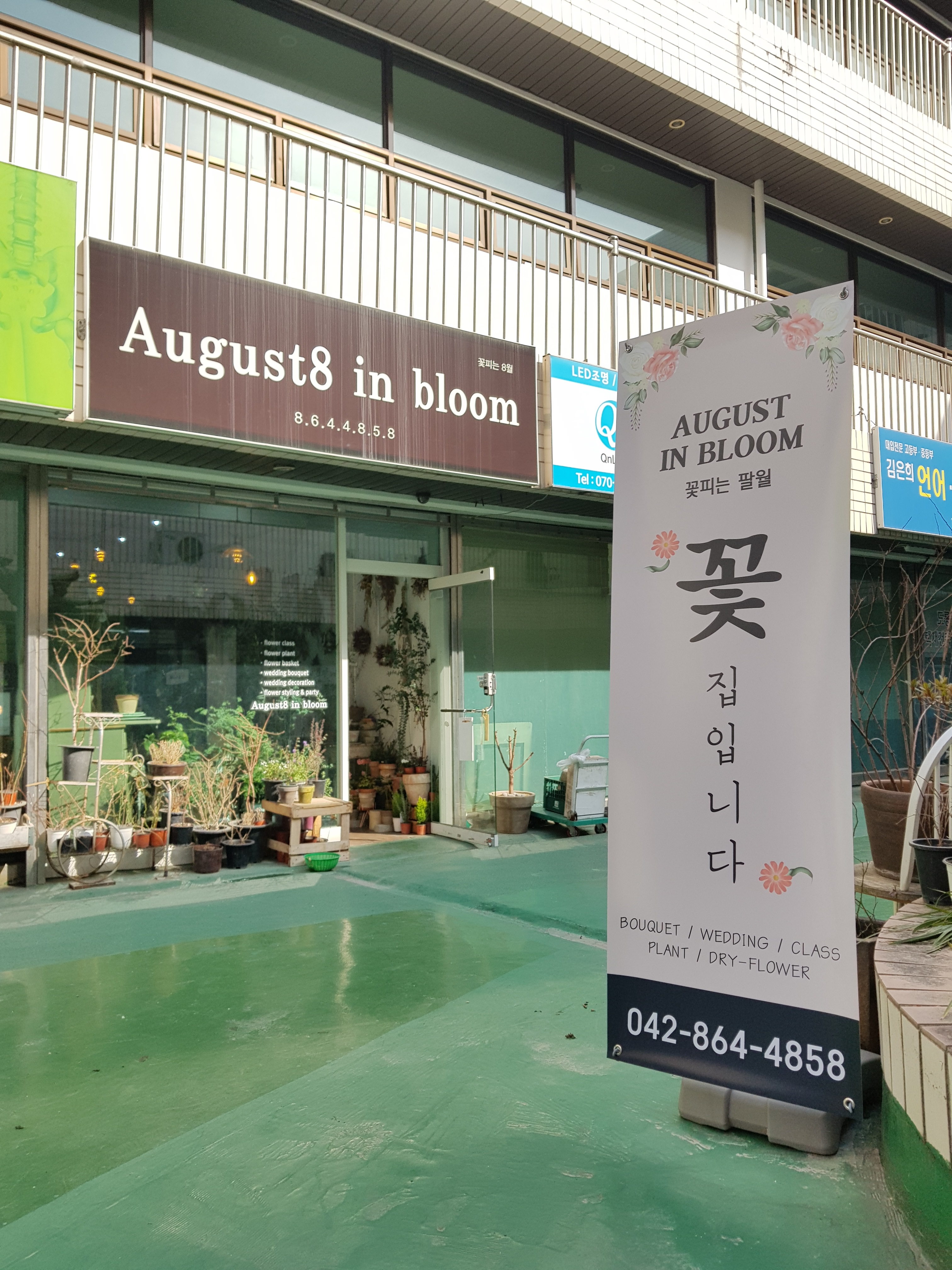 꽃피는 팔월