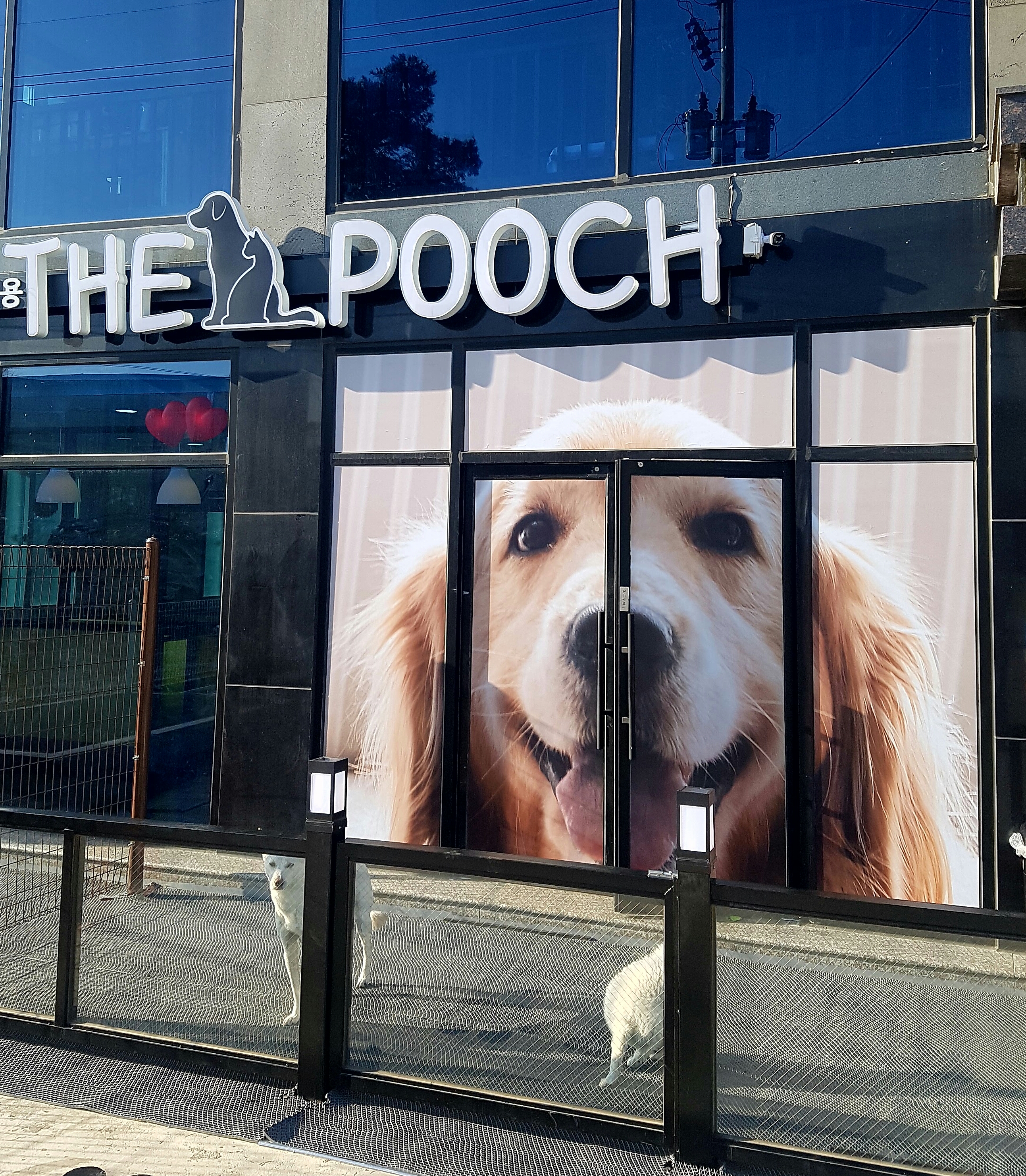 The Pooch 대표 이미지