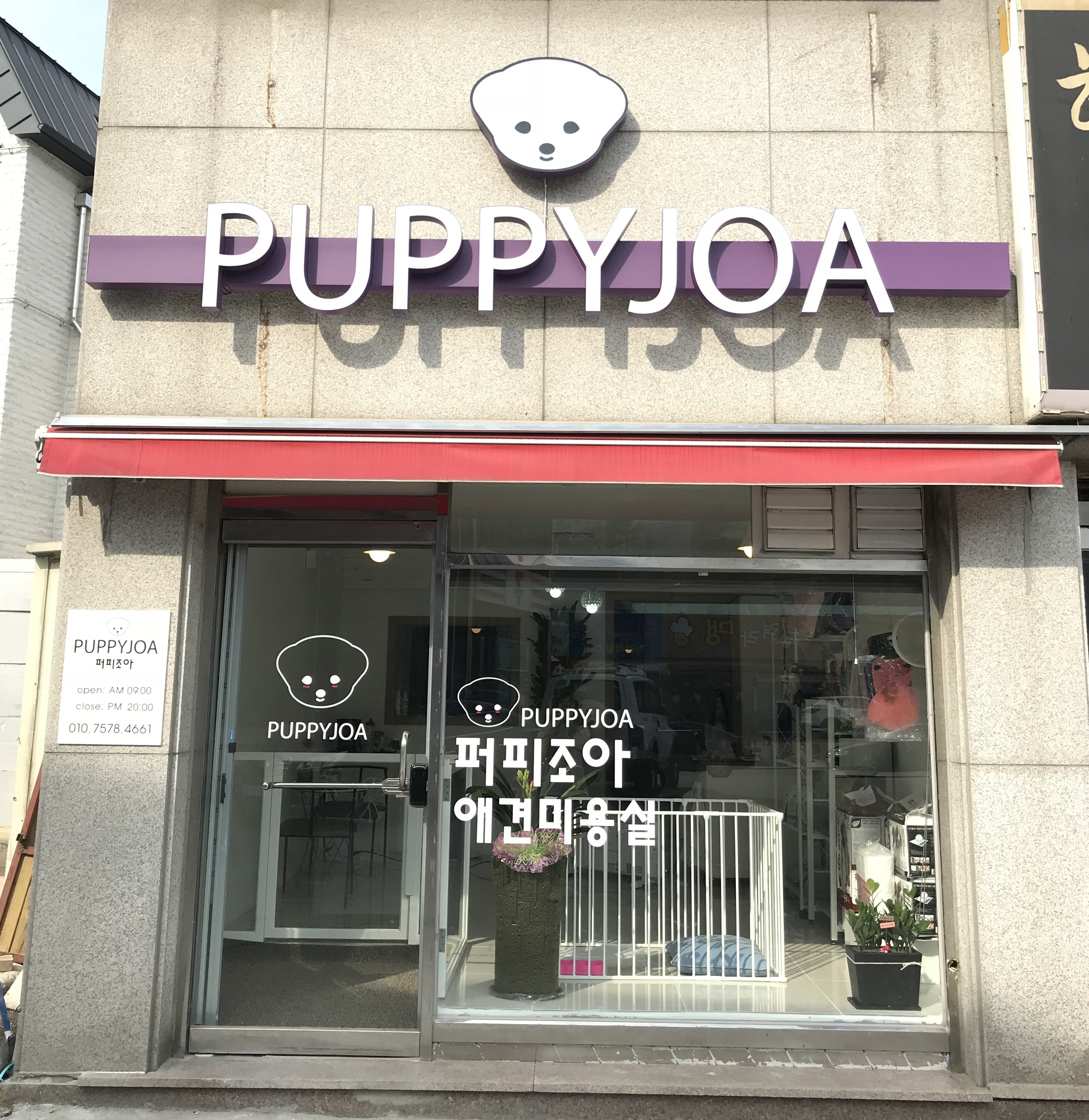 퍼피조아