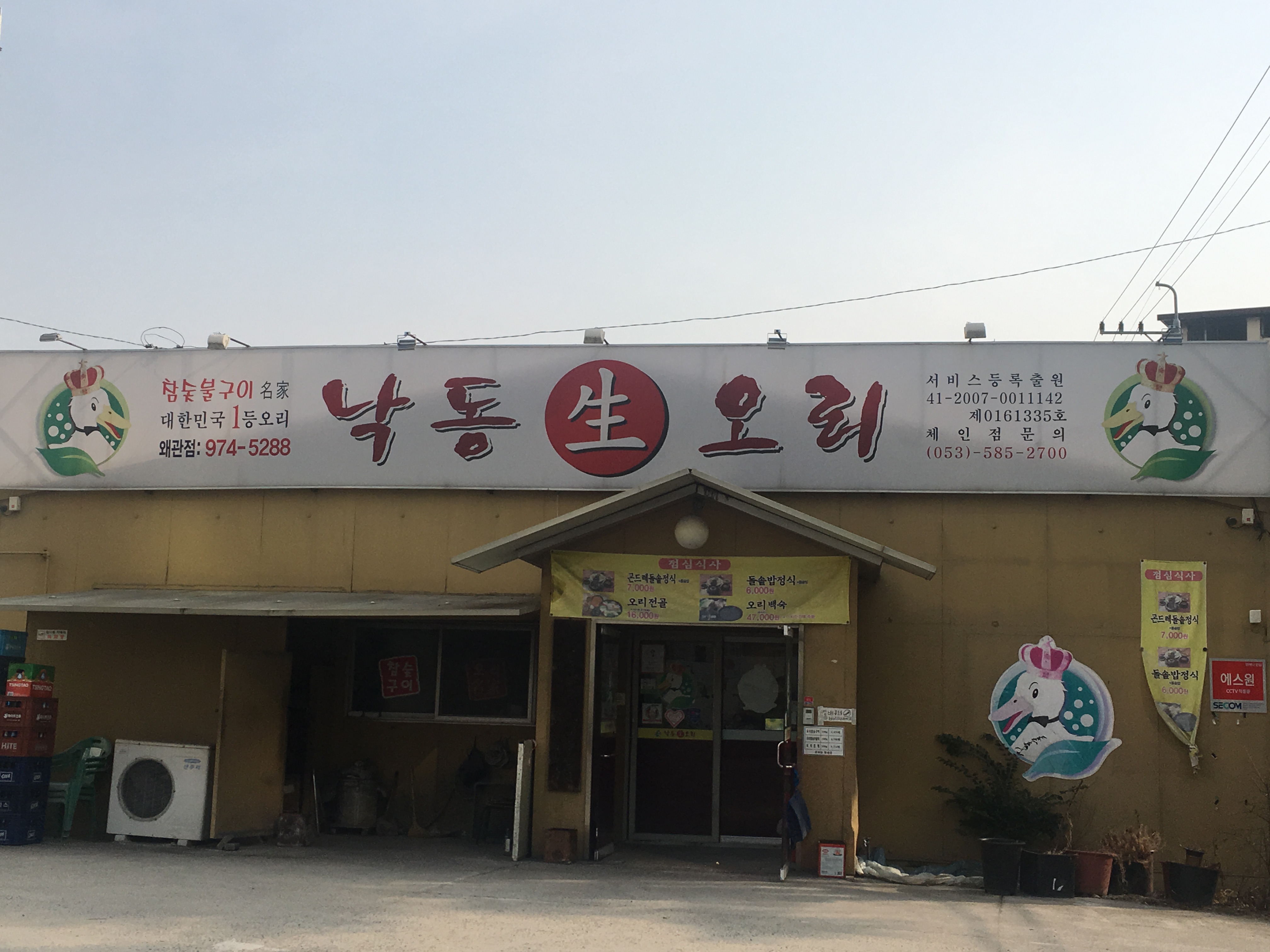 낙동생오리