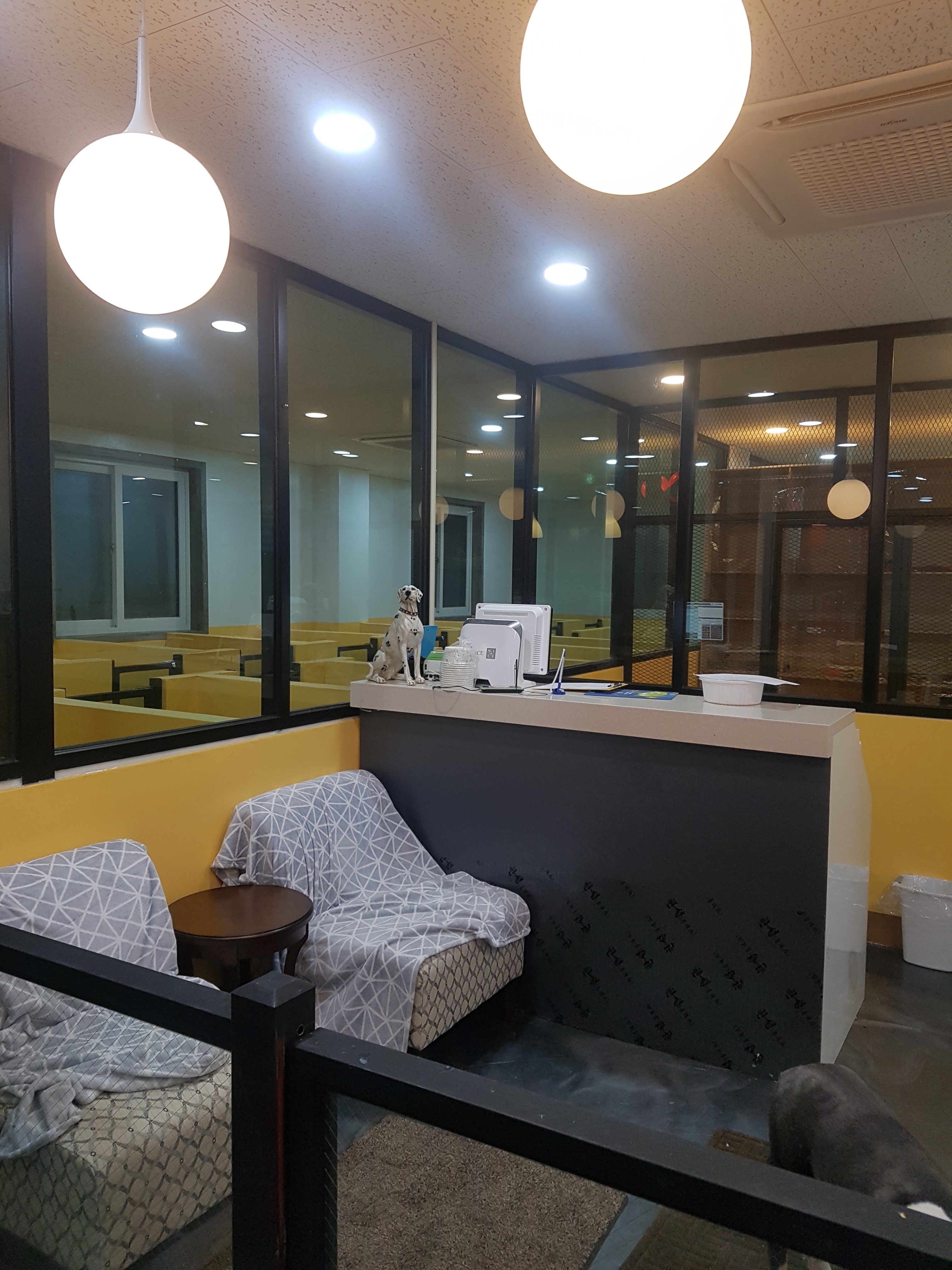 The Pooch 대표 이미지