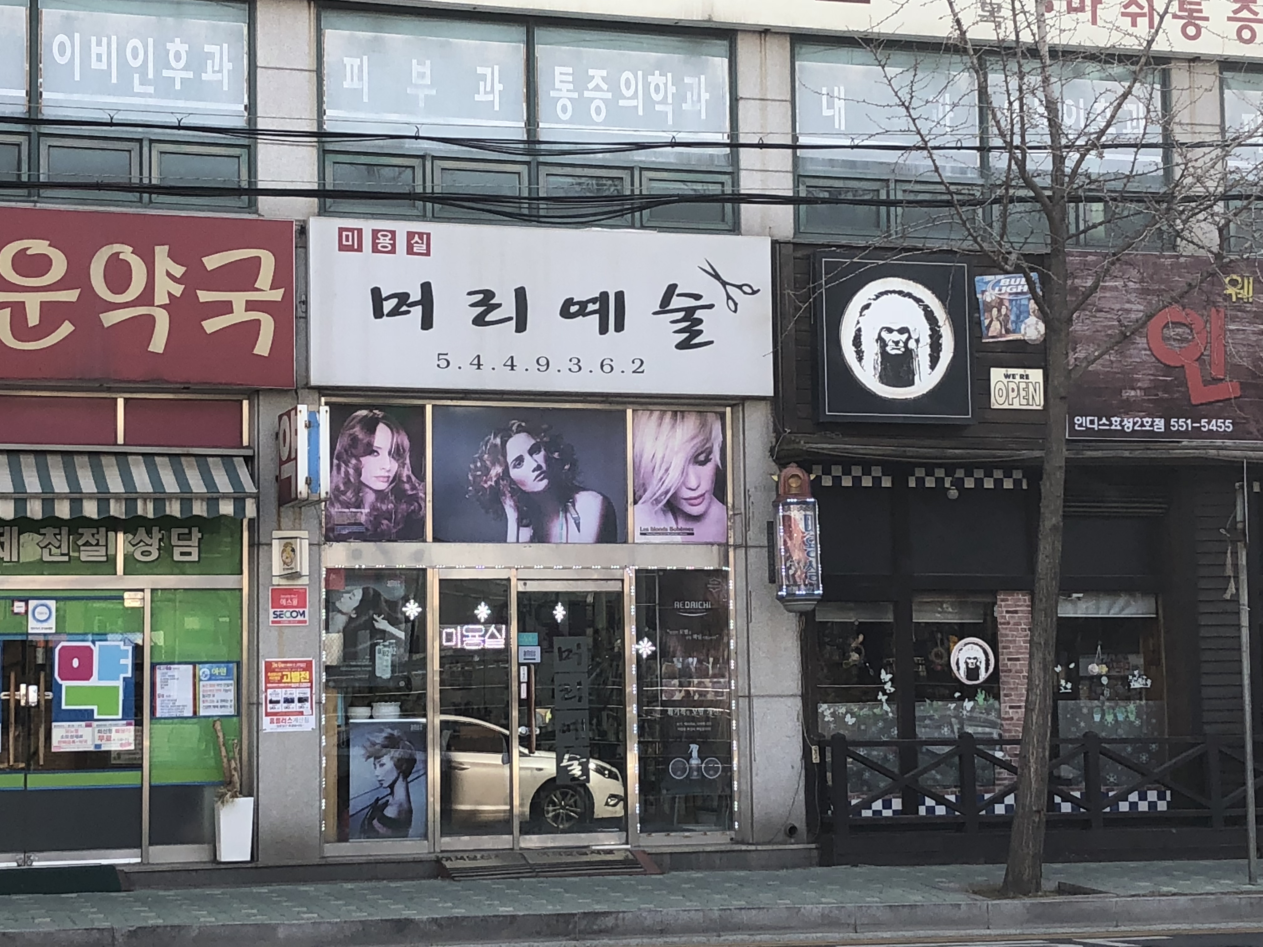 머리예술