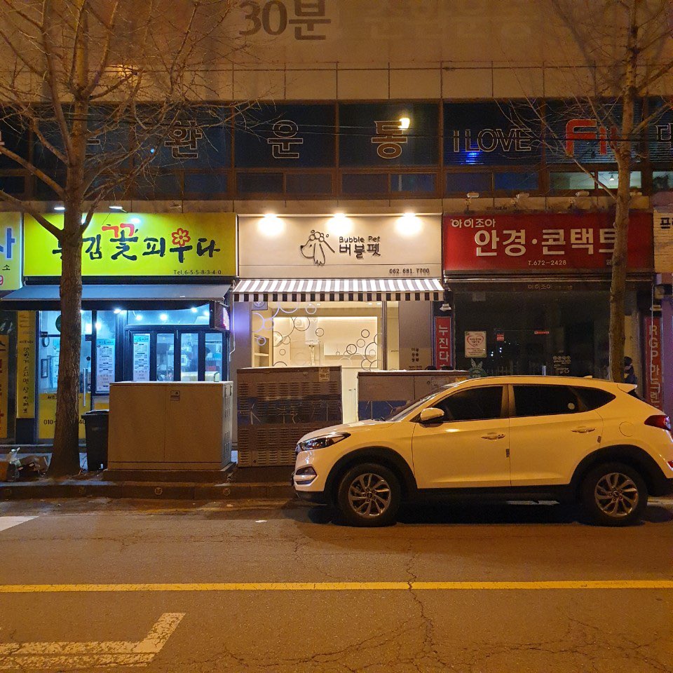 버블펫 대표 이미지