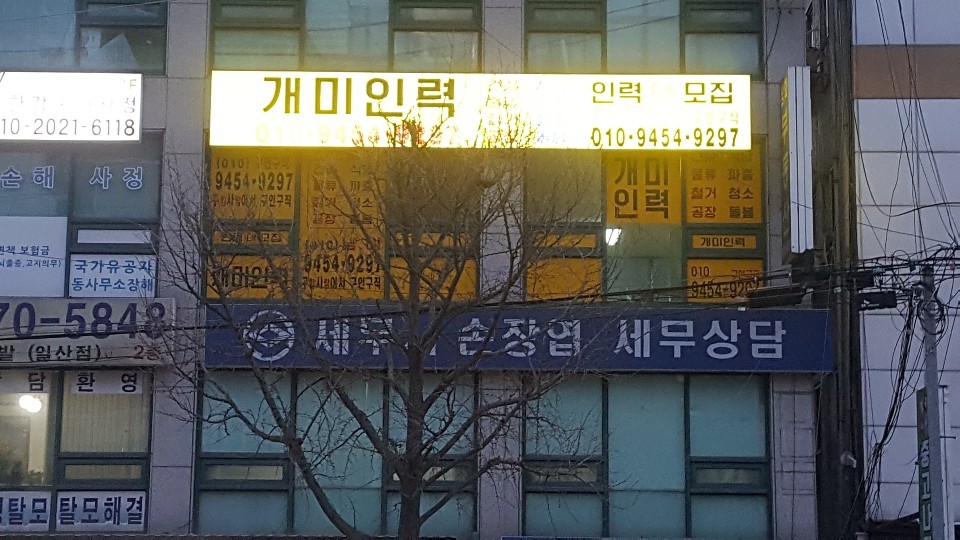 개미인력