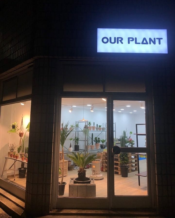 아우어플랜트