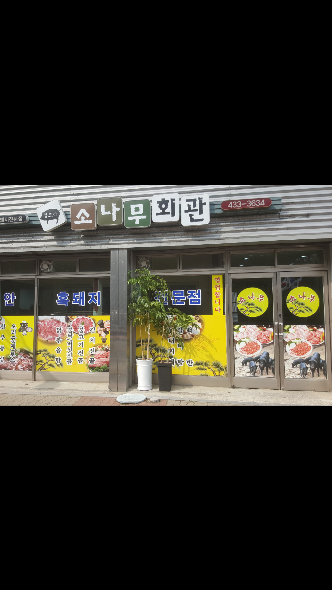 소나무회관