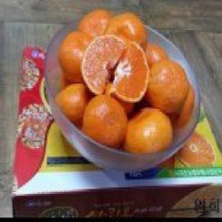 영희네농장