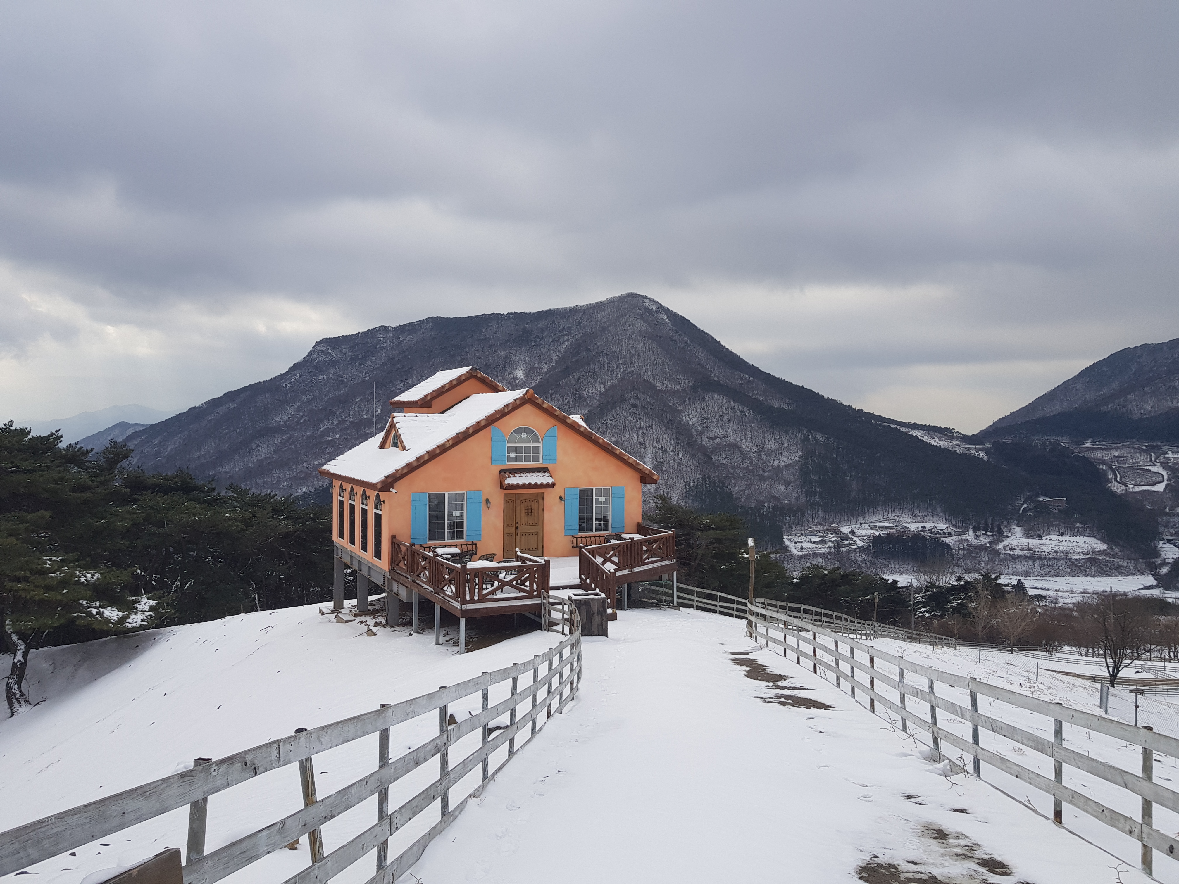 무등산양떼목장 - 무등산 여행